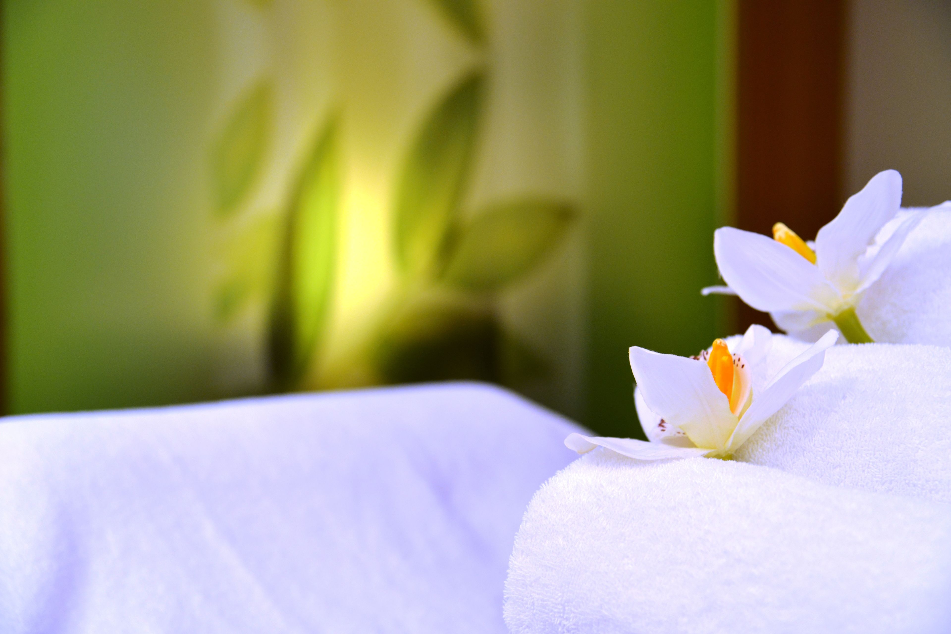Best Western Plus Palatin Hotel Best Western Plus Palatin Hotel
