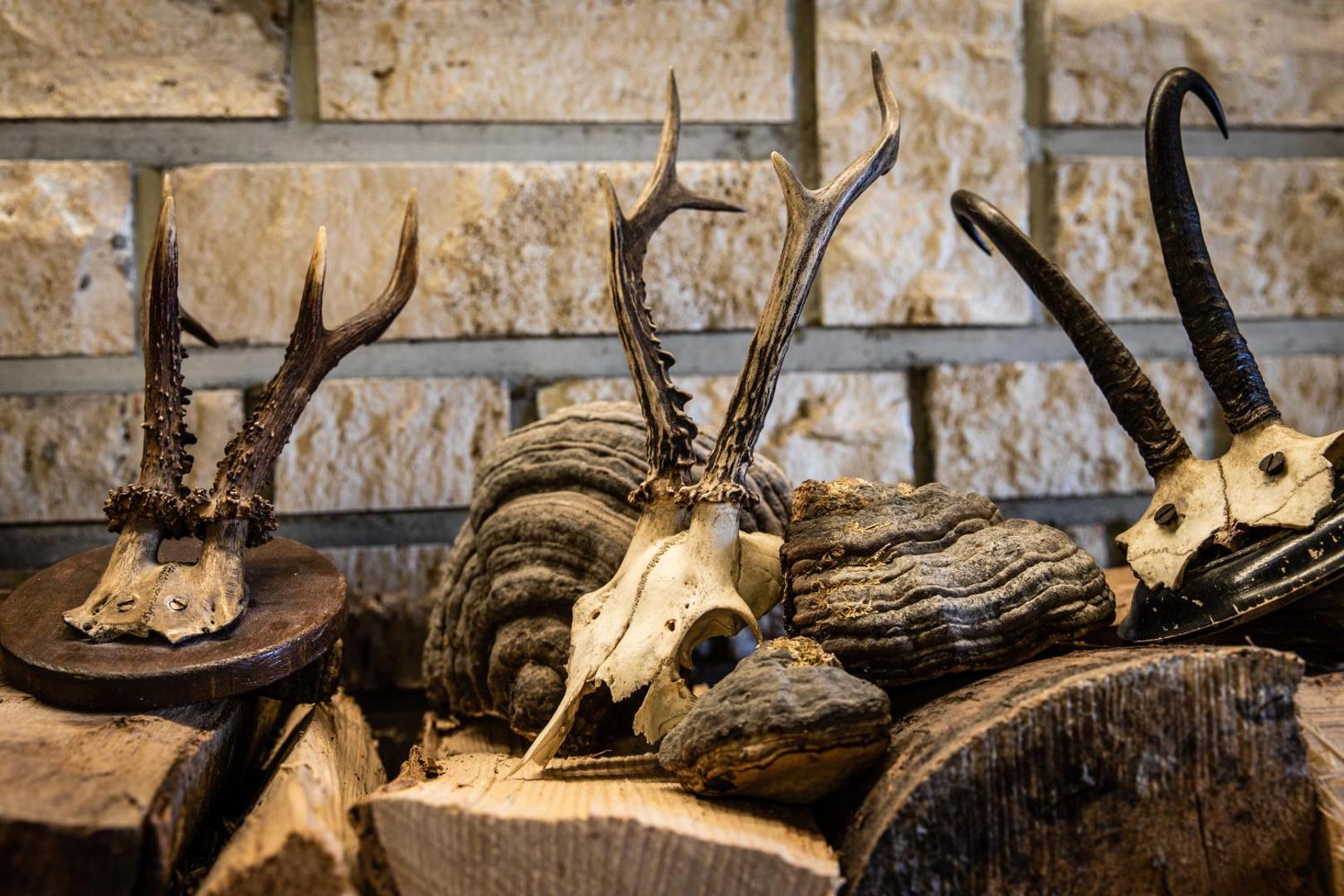 Alpenhotel Fischer Alpenhotel Fischer