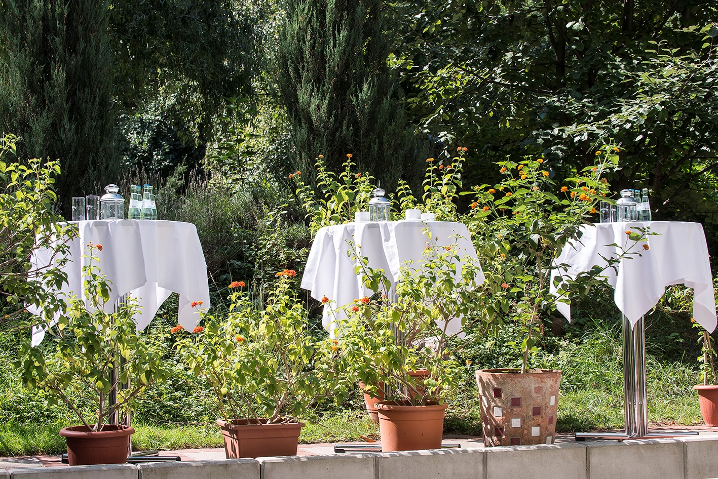 Hotel Grenzfall Hotel Grenzfall