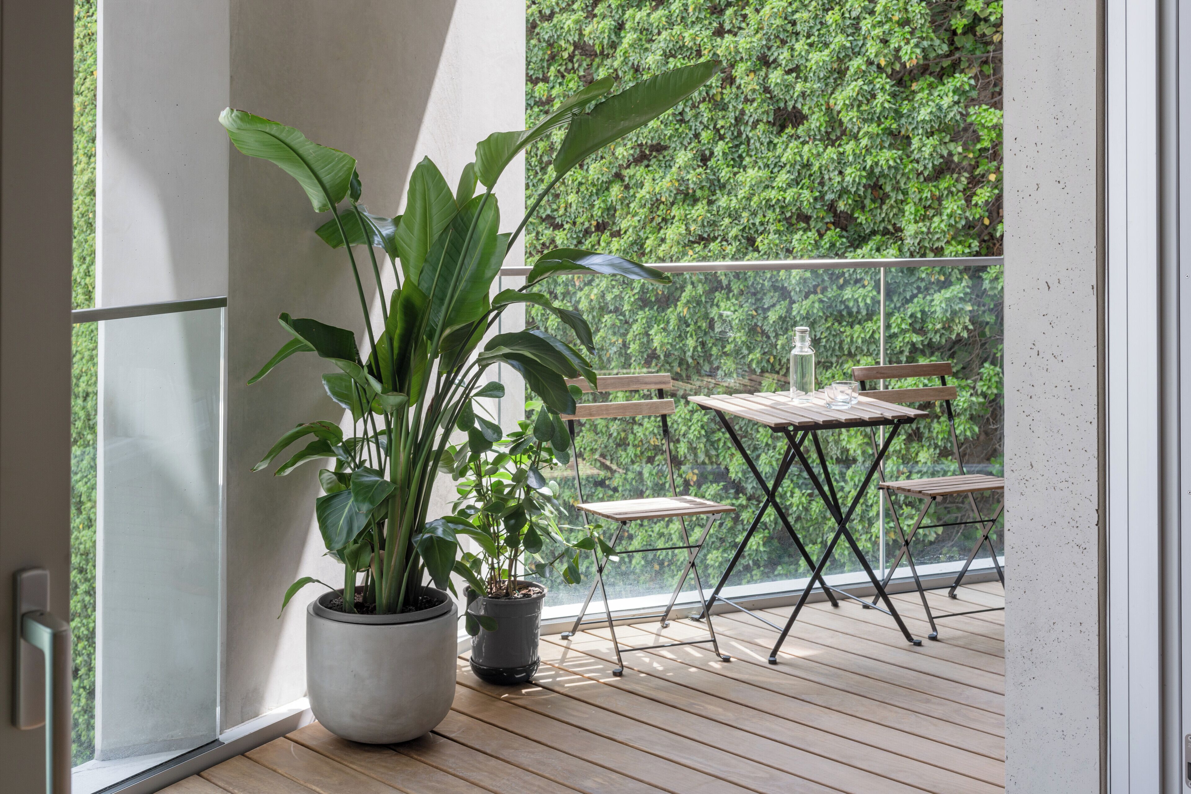 Wilmina Apartments Wilmina Apartments