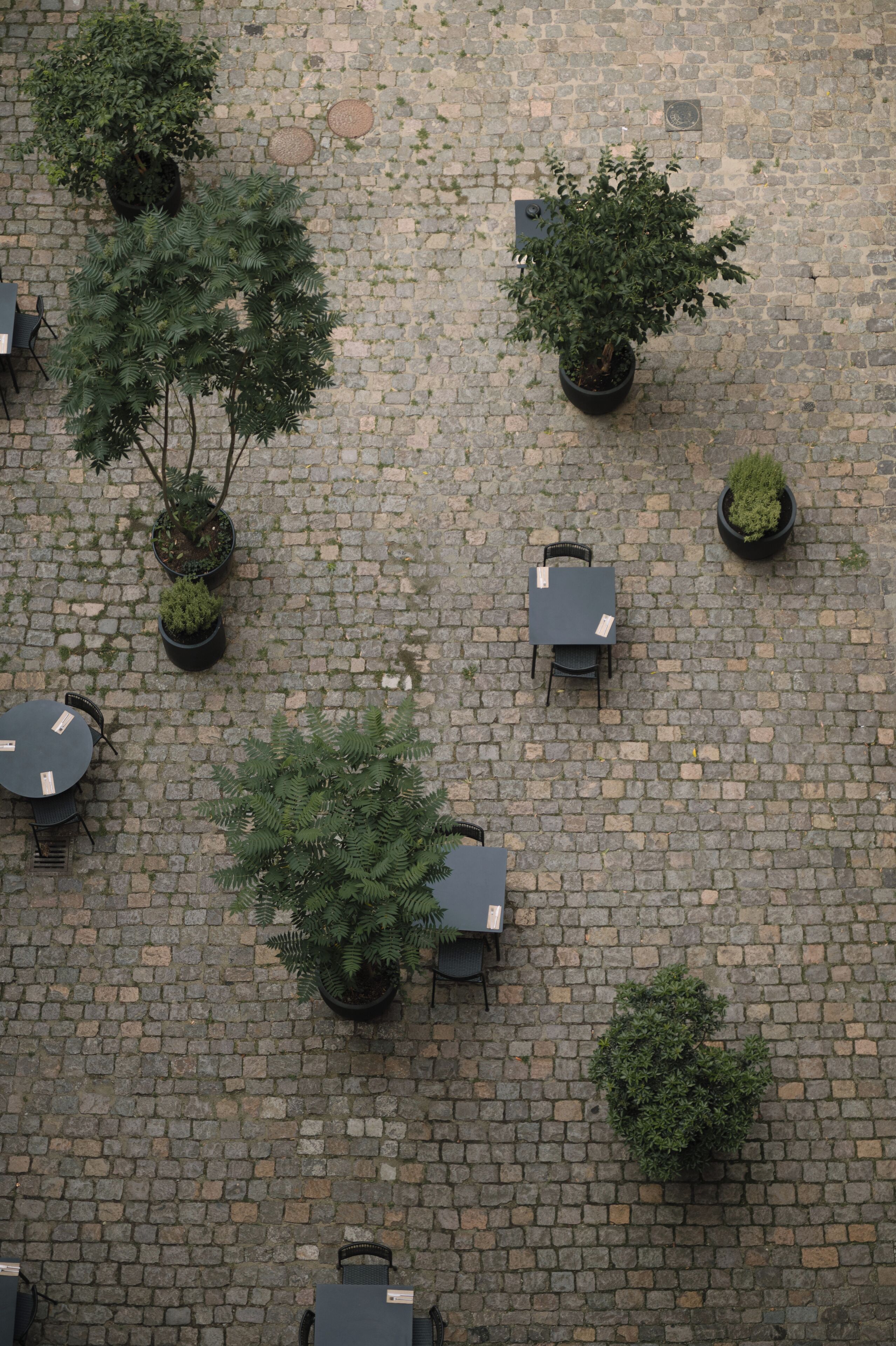 Wilmina Apartments Wilmina Apartments
