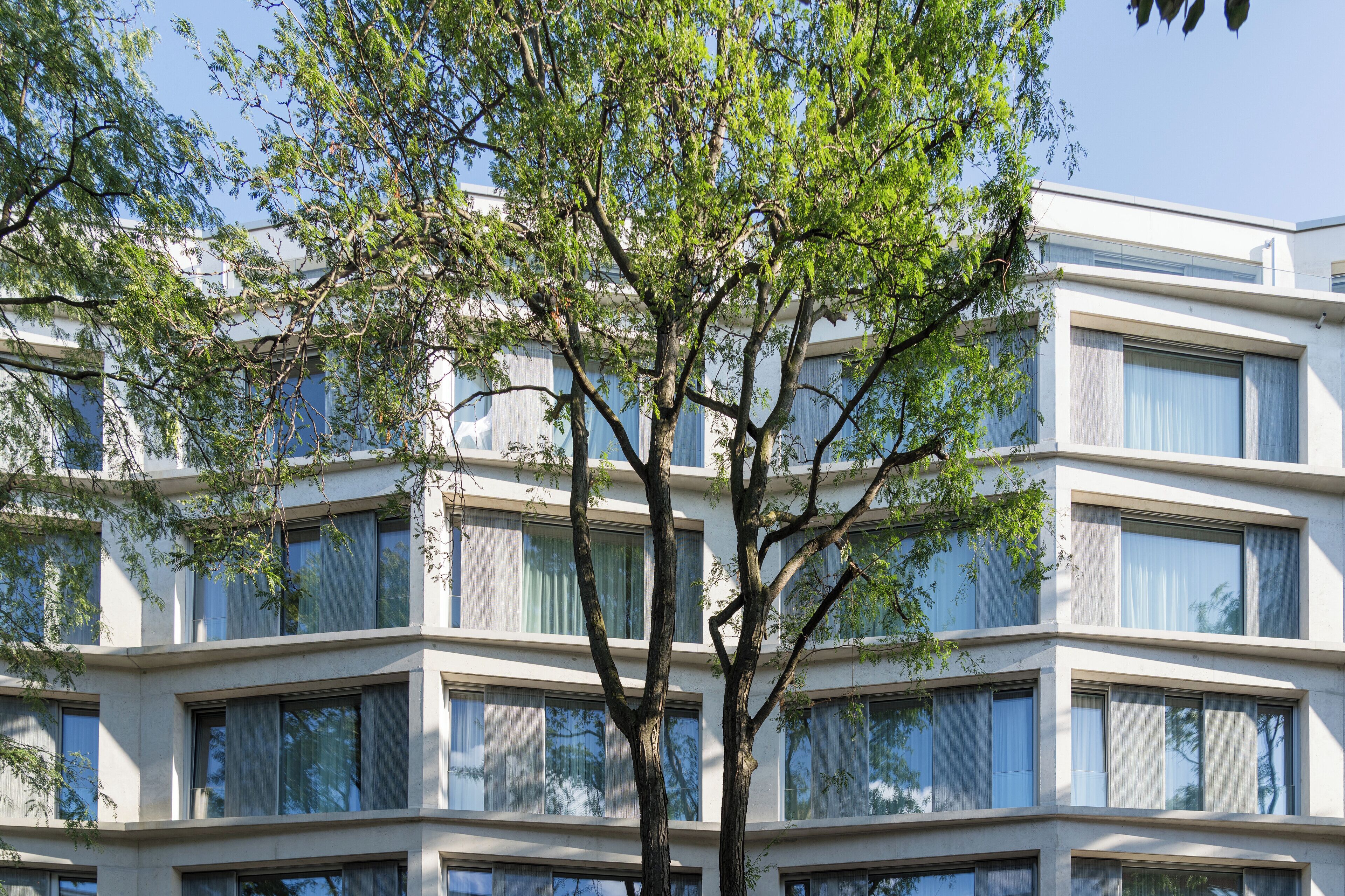 Wilmina Apartments Wilmina Apartments