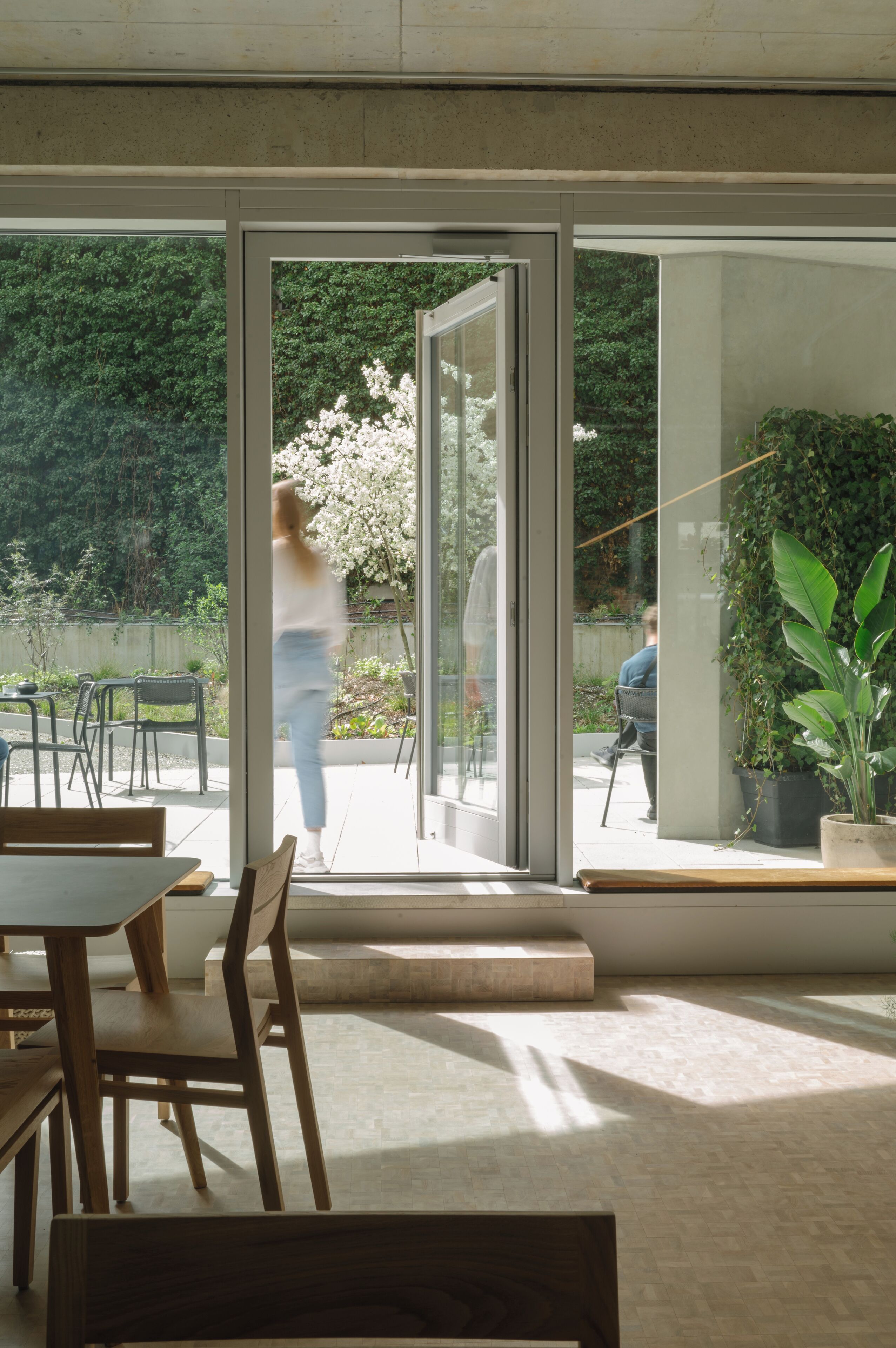 Wilmina Apartments Wilmina Apartments