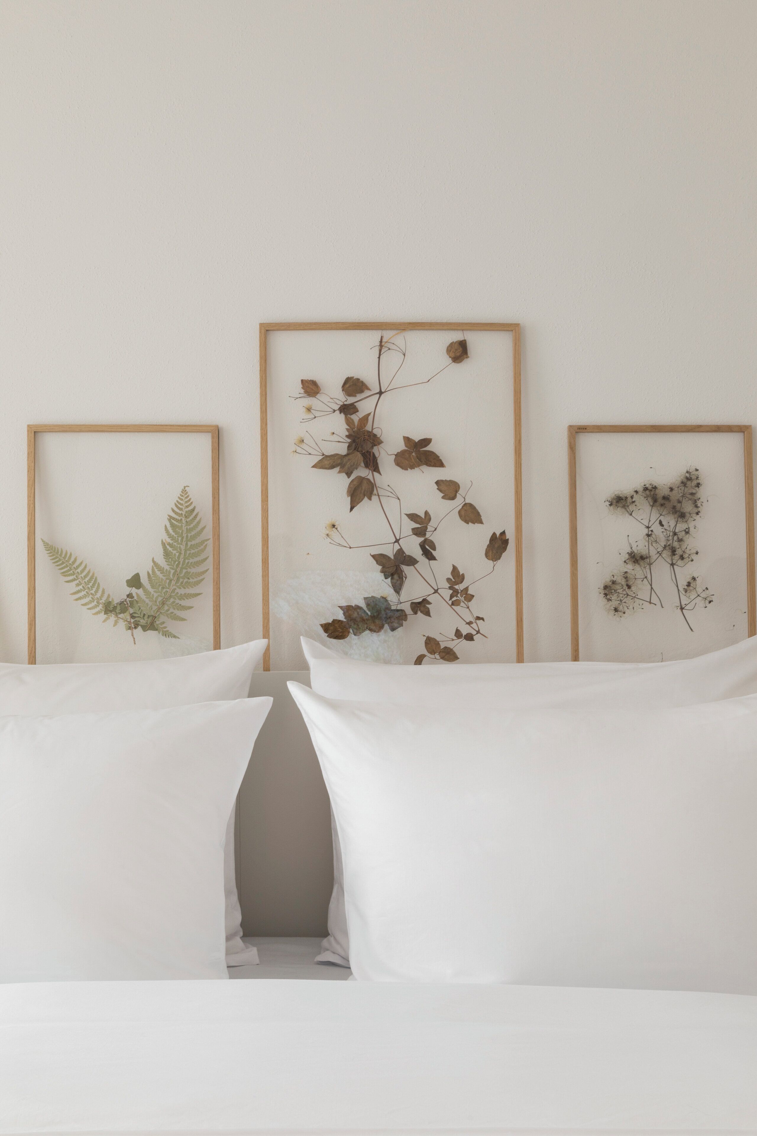 Wilmina Hotel Wilmina Hotel