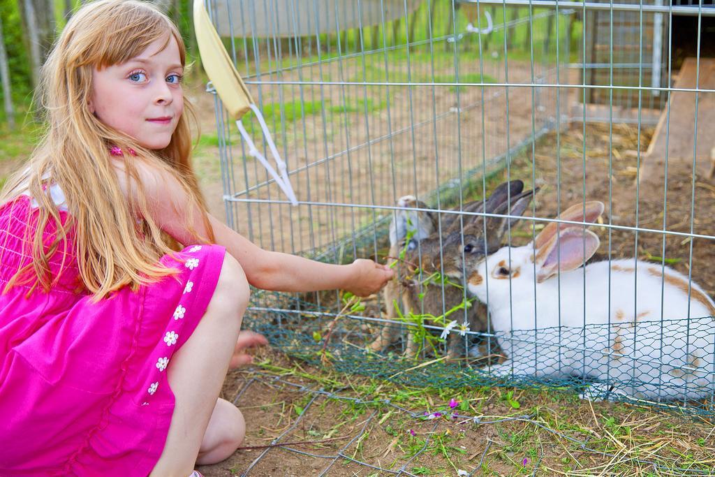 BEECH Resort Fleesensee