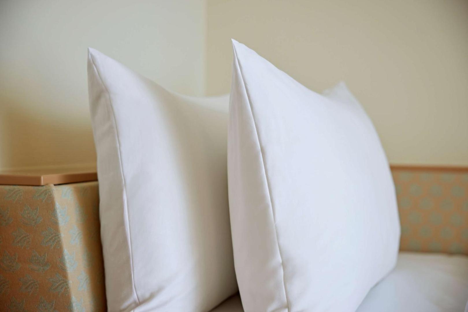 Lindner Hotel Dusseldorf Airport - JDV by Hyatt