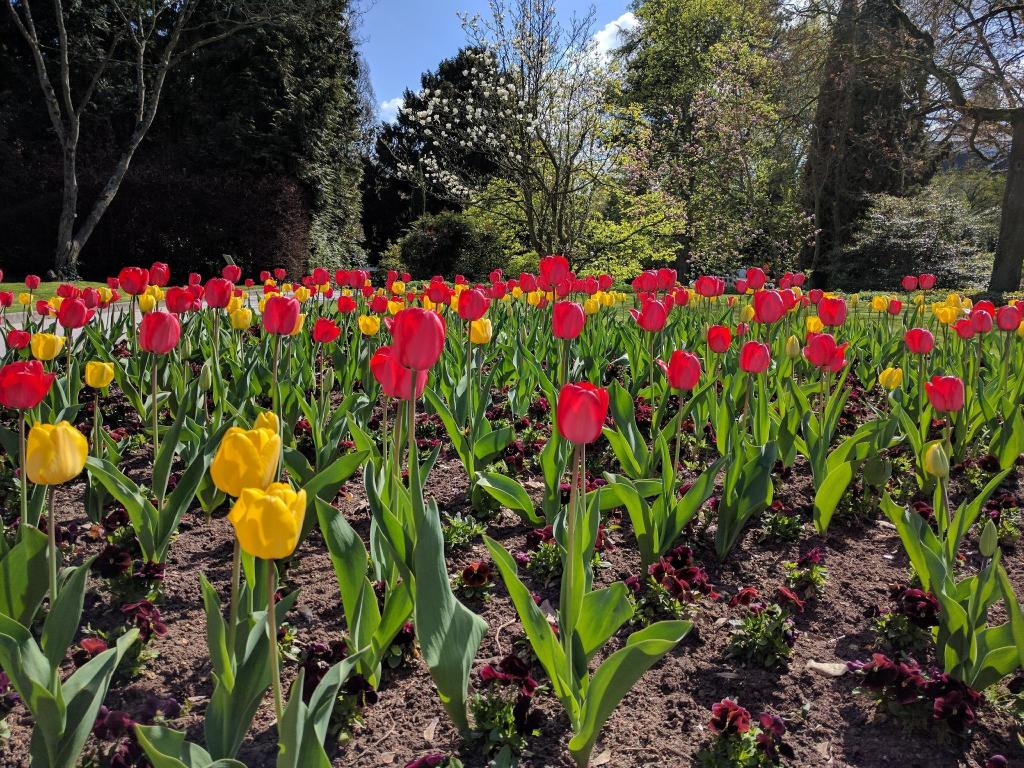 Taj Hessischer Hof Frankfurt