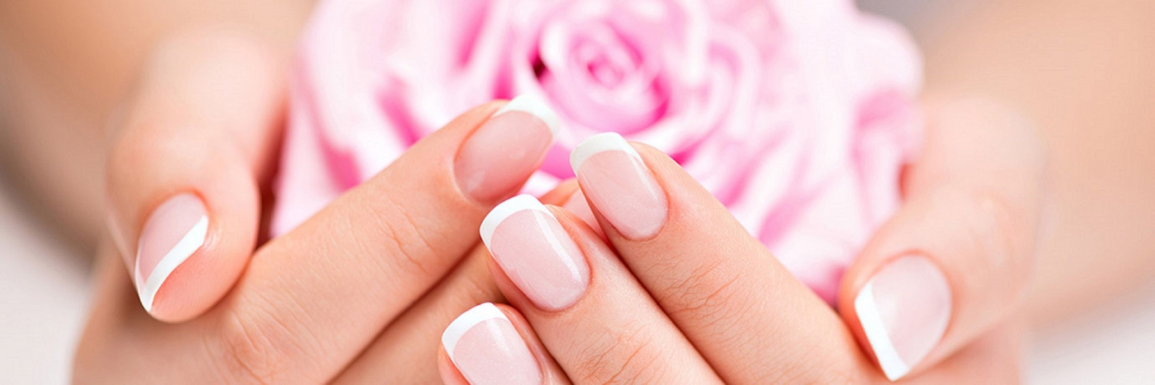 Taj Hessischer Hof Frankfurt