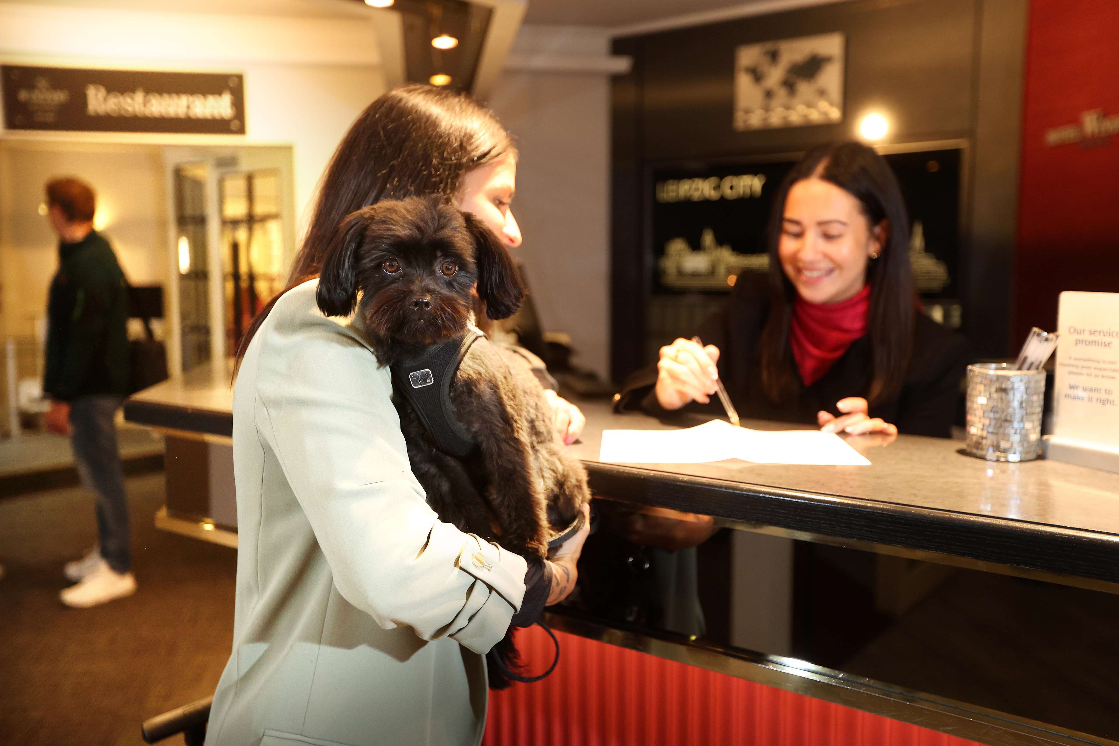 Best Western Hotel Windorf Best Western Hotel Windorf