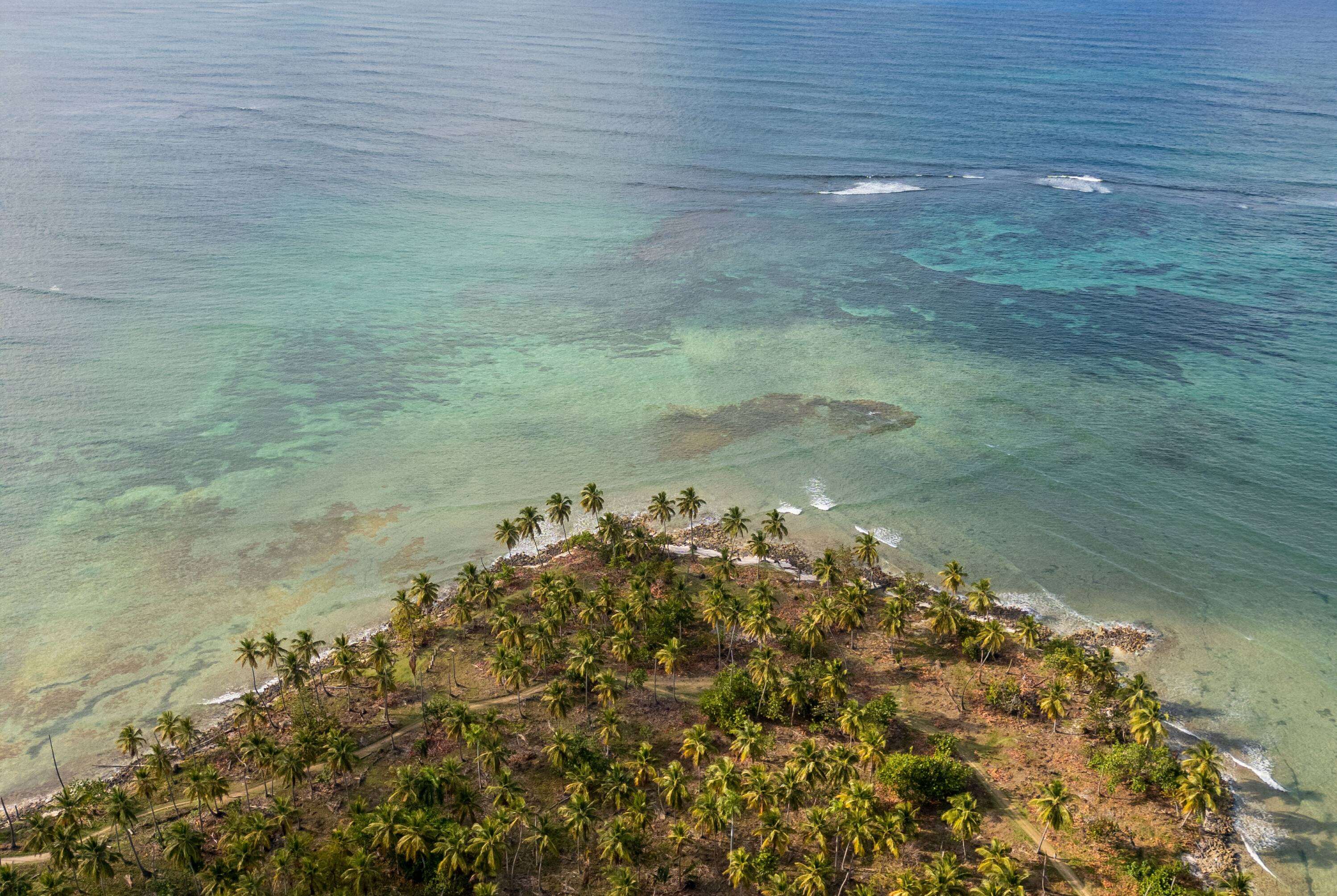 Wyndham Alltra Samana Wyndham Alltra Samana