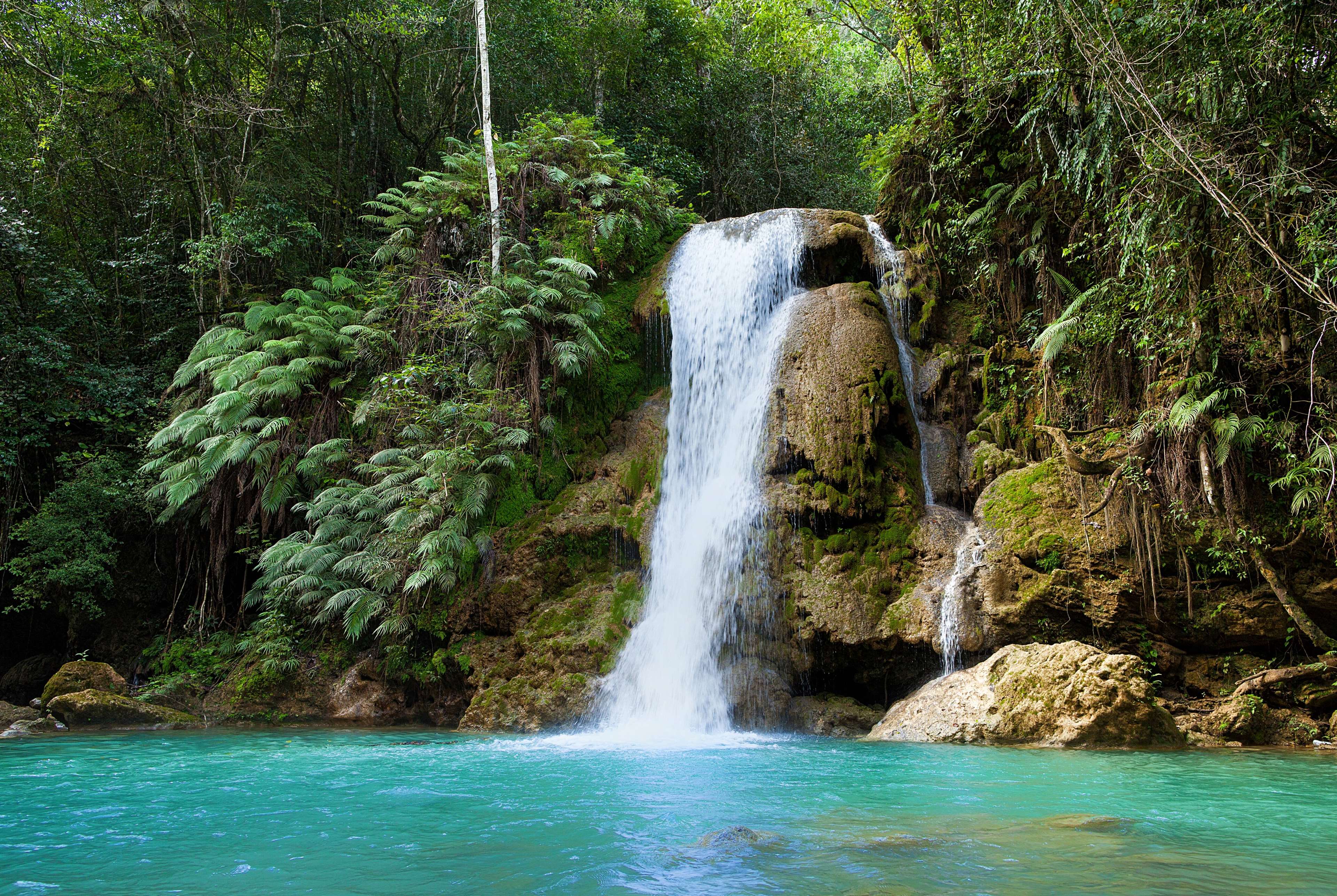 Wyndham Alltra Samana Wyndham Alltra Samana