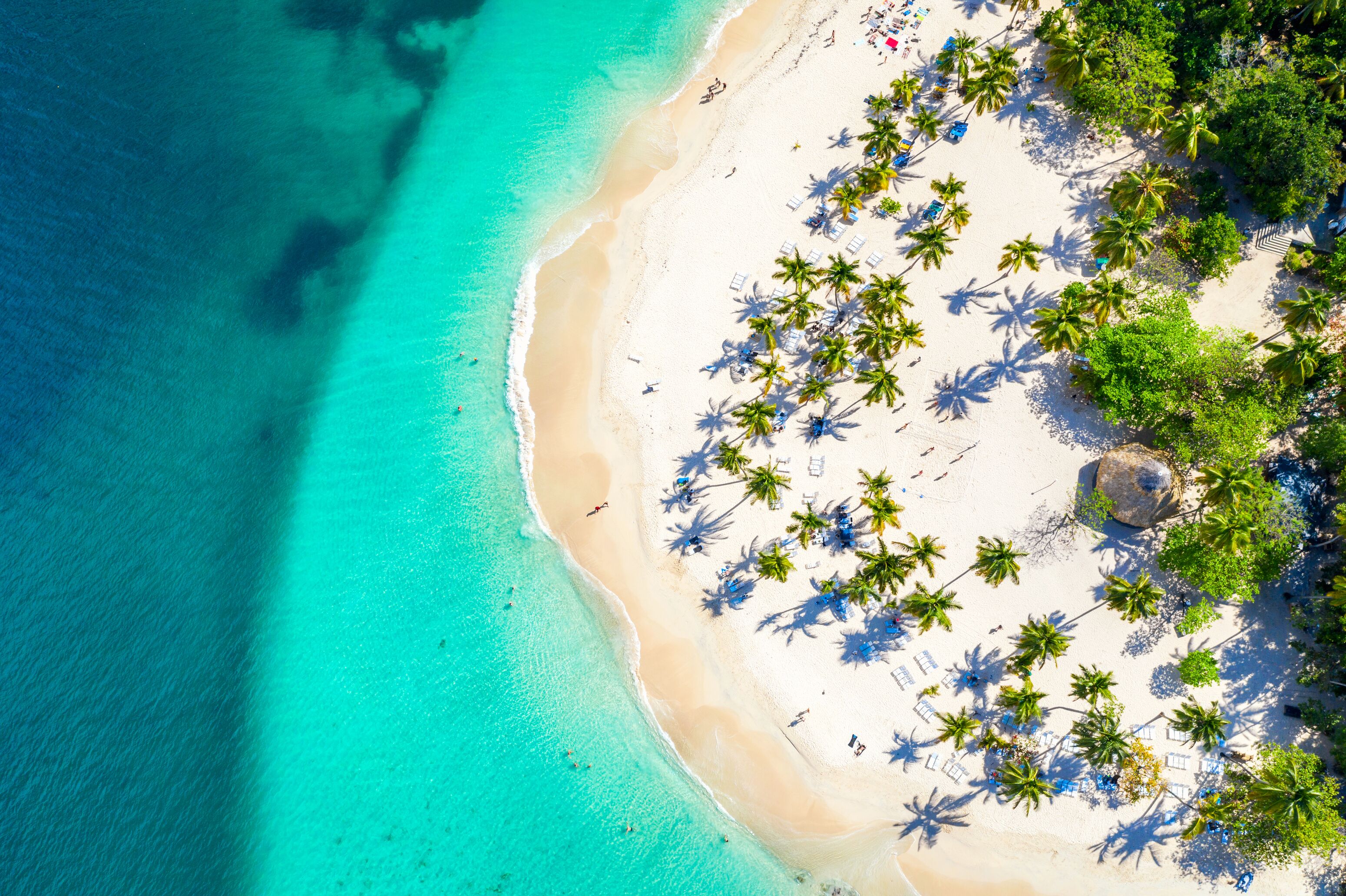 Wyndham Alltra Samana Wyndham Alltra Samana