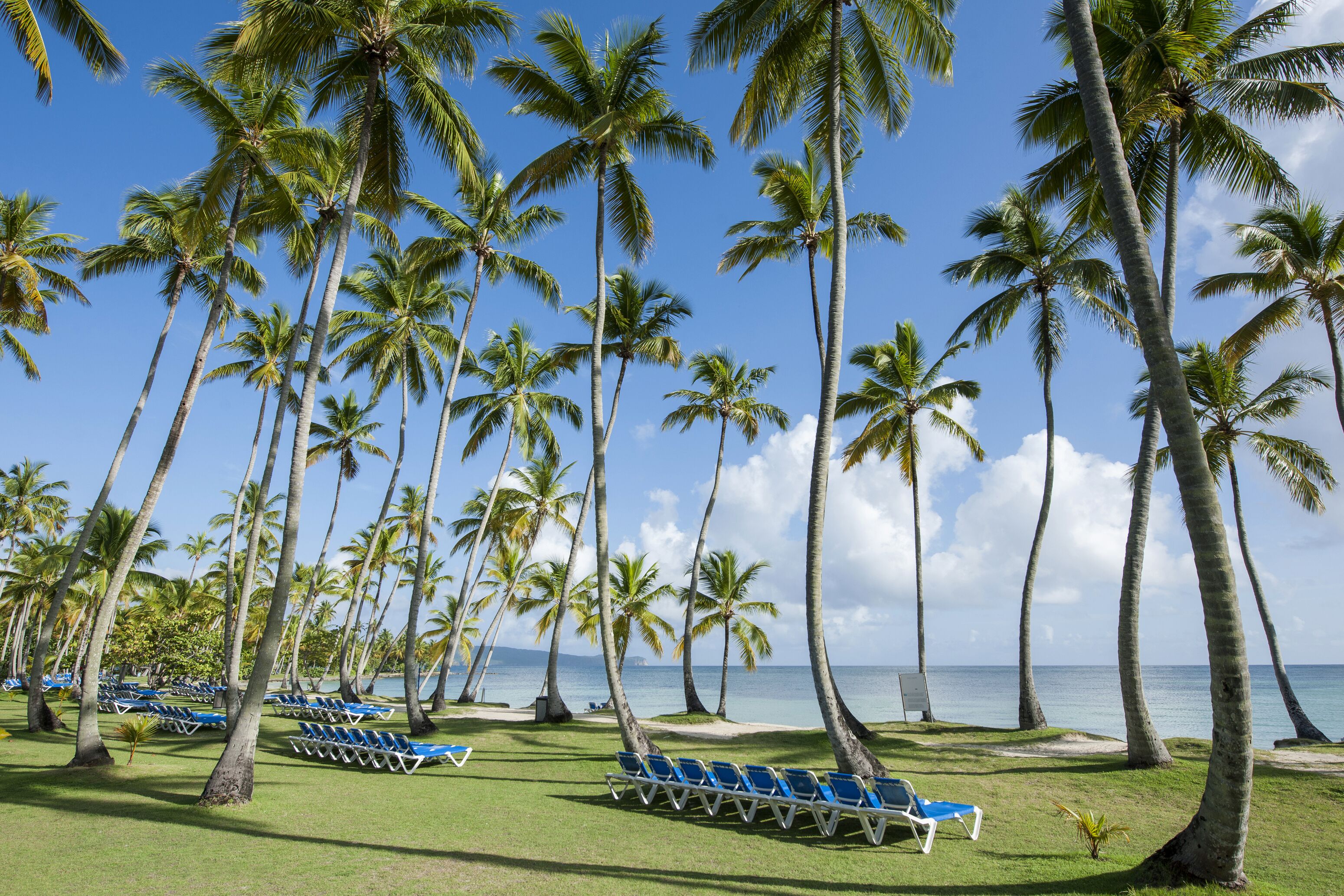 Wyndham Alltra Samana Wyndham Alltra Samana