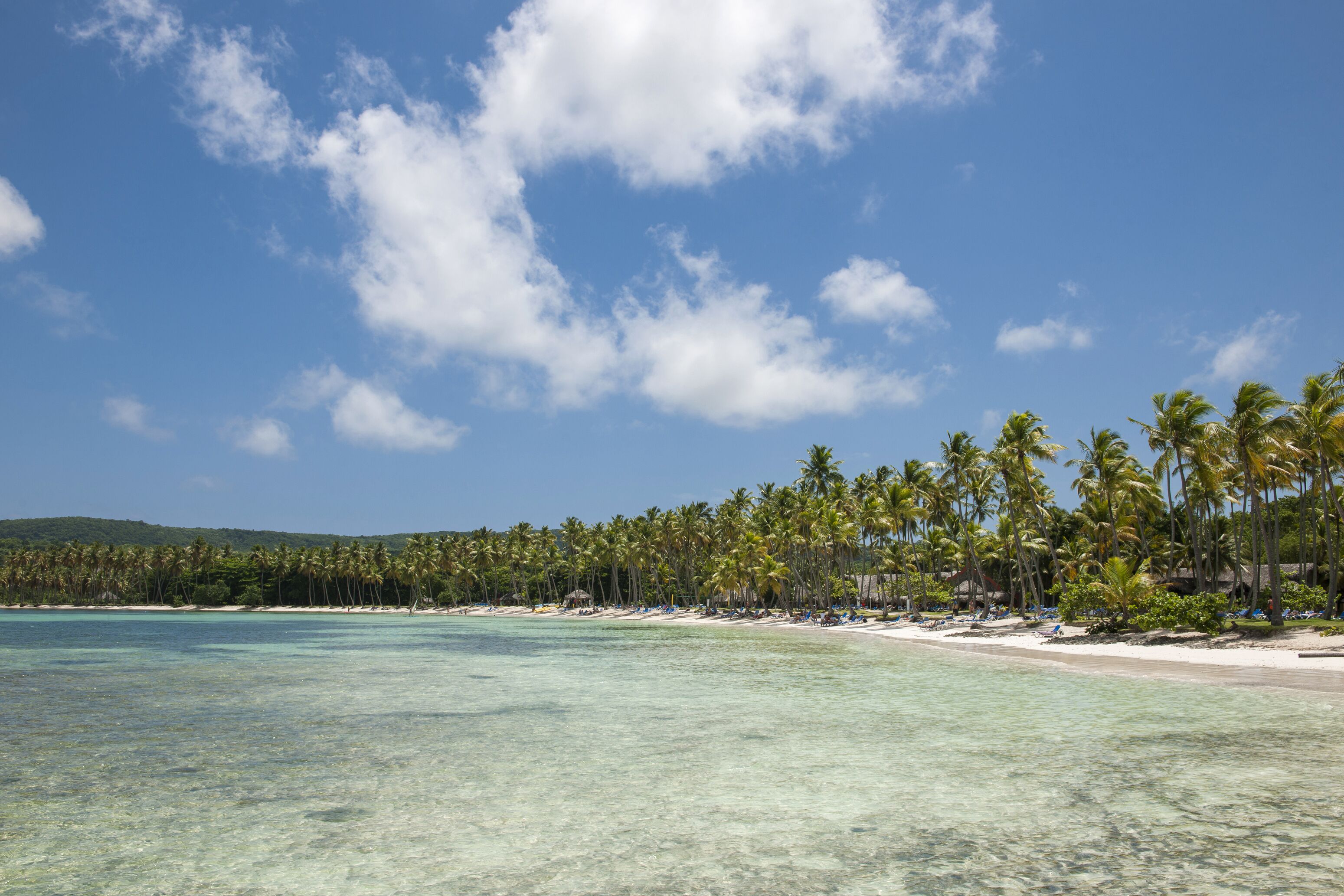 Wyndham Alltra Samana Wyndham Alltra Samana
