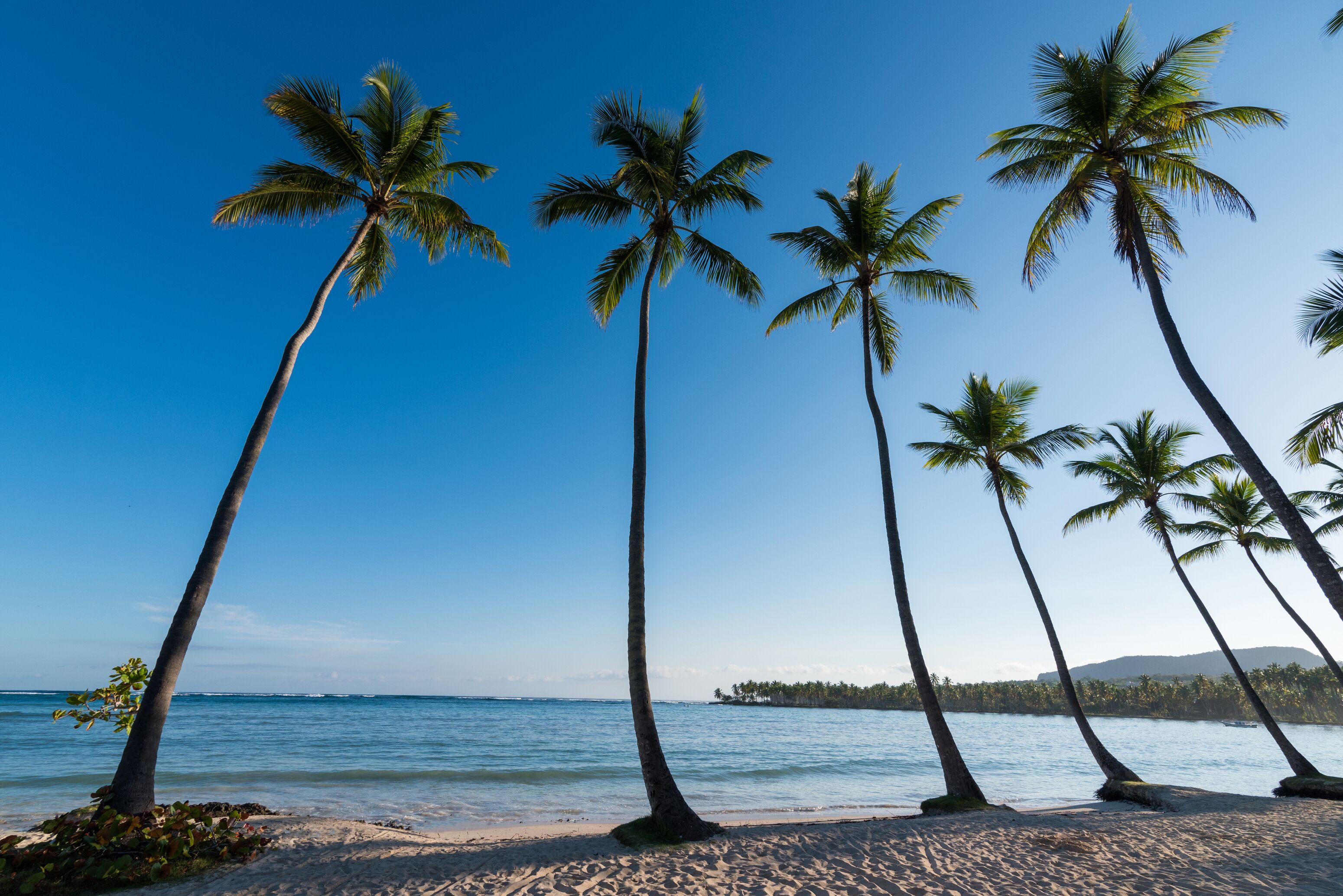 Wyndham Alltra Samana Wyndham Alltra Samana