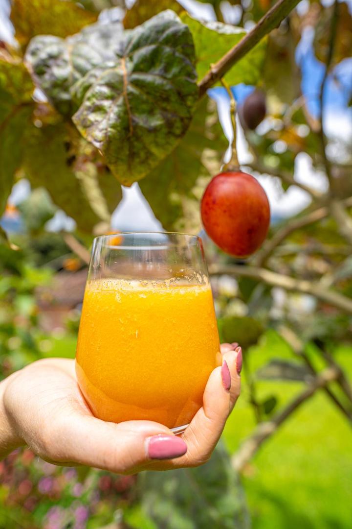 Luna Runtun Adventure Spa