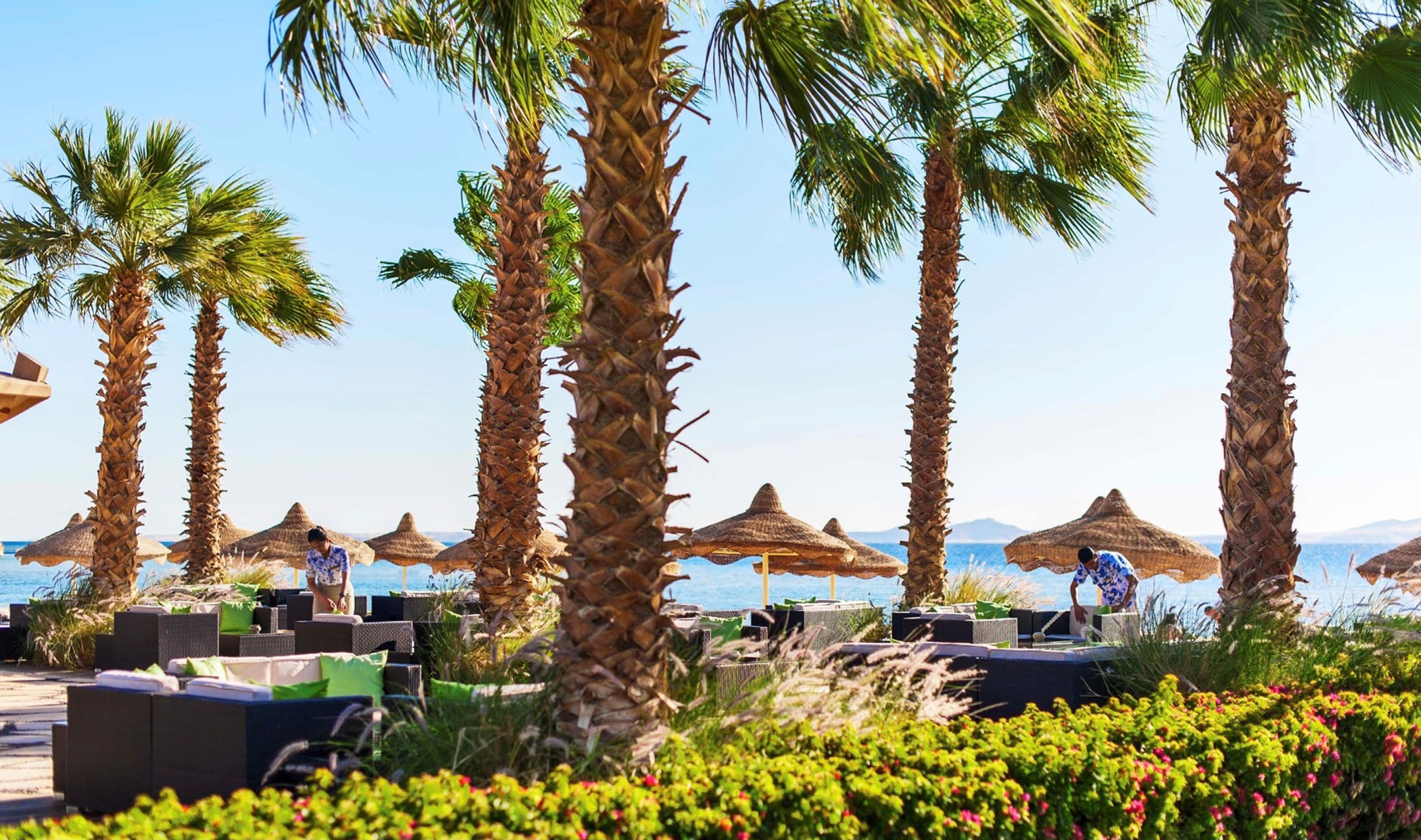 Baron Resort Sharm el Sheikh Baron Resort Sharm el Sheikh