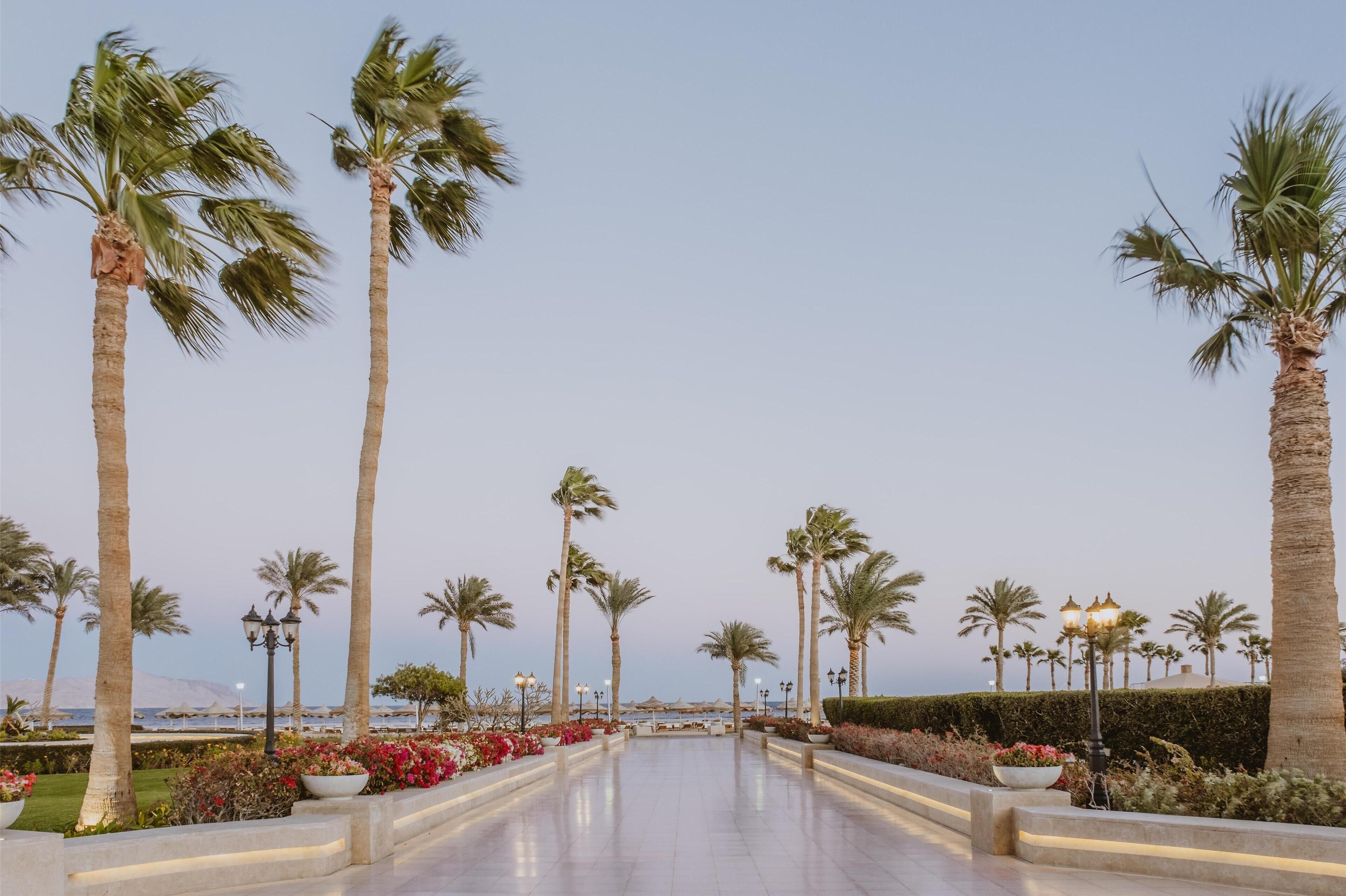 Baron Resort Sharm el Sheikh Baron Resort Sharm el Sheikh