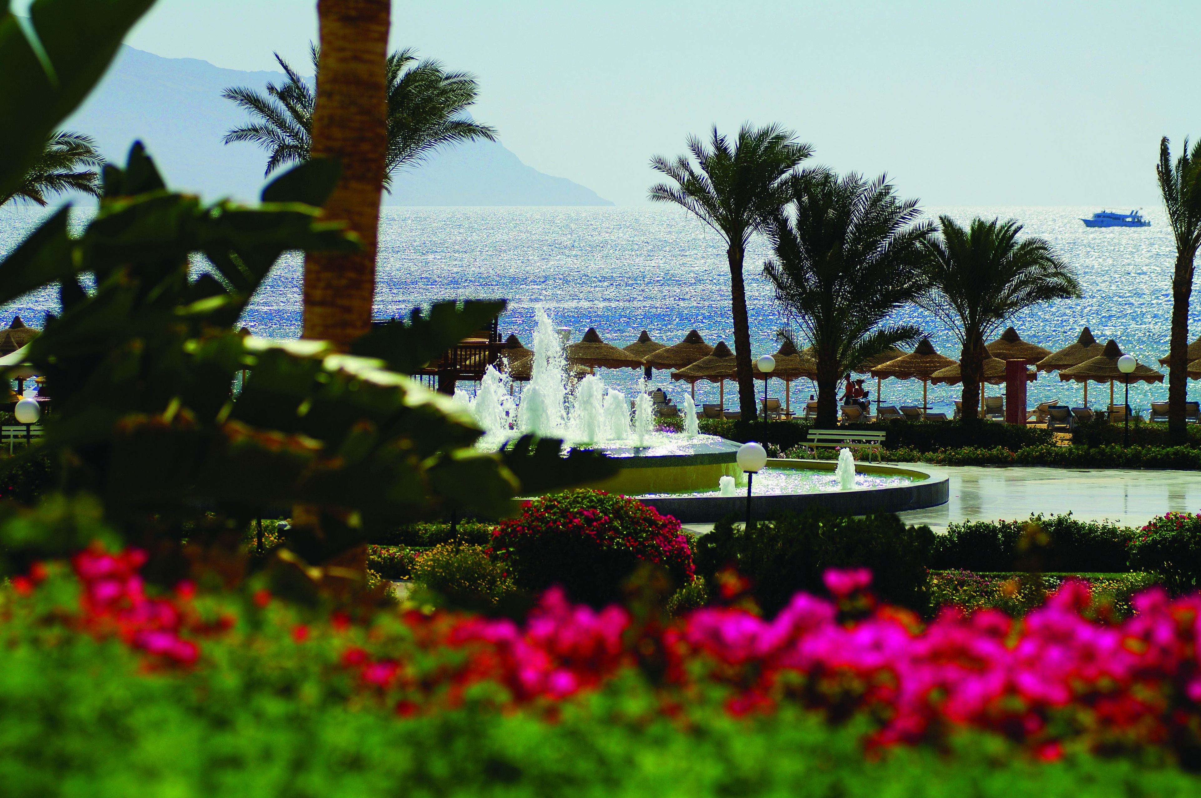 Baron Resort Sharm el Sheikh Baron Resort Sharm el Sheikh
