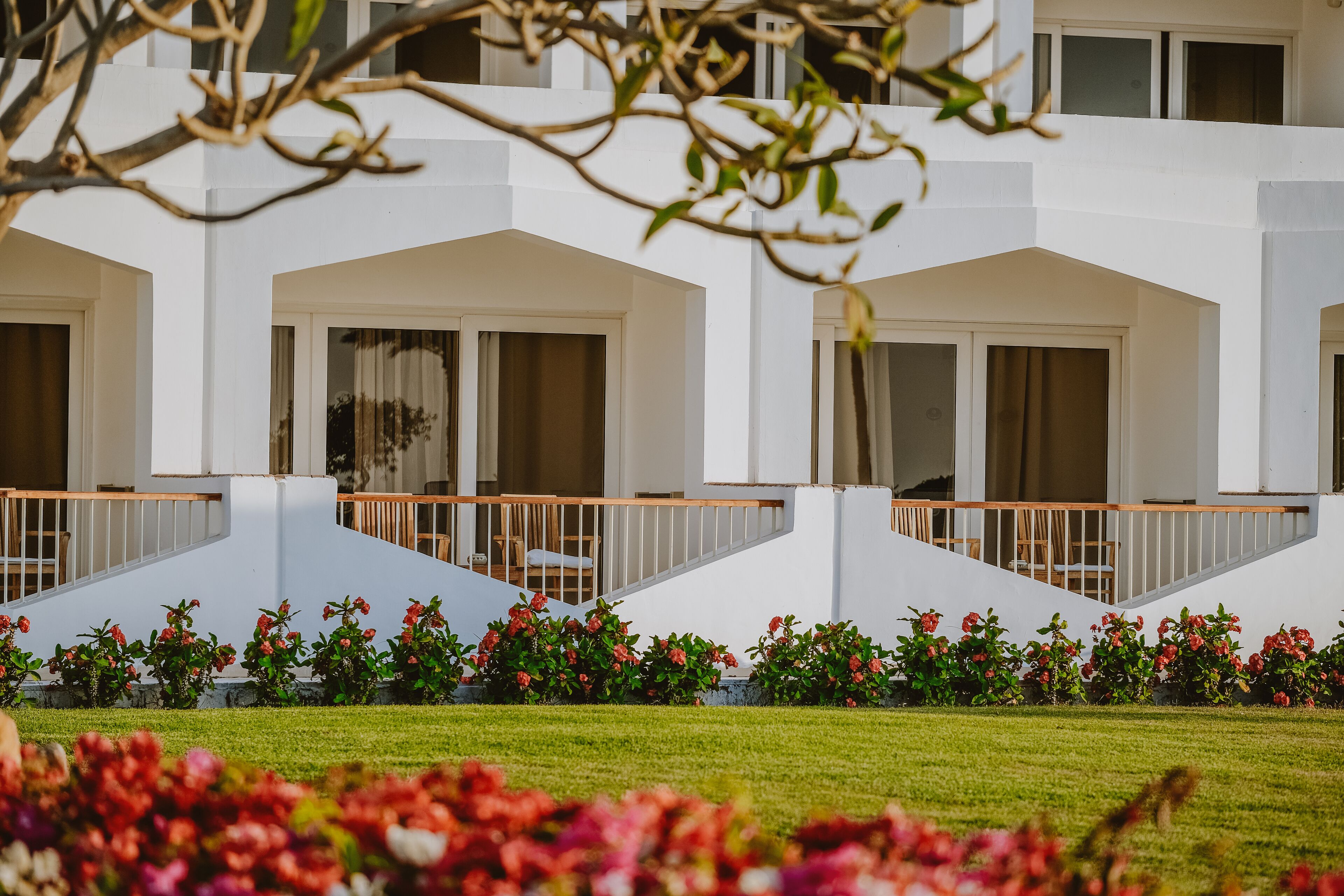 Baron Resort Sharm el Sheikh Baron Resort Sharm el Sheikh