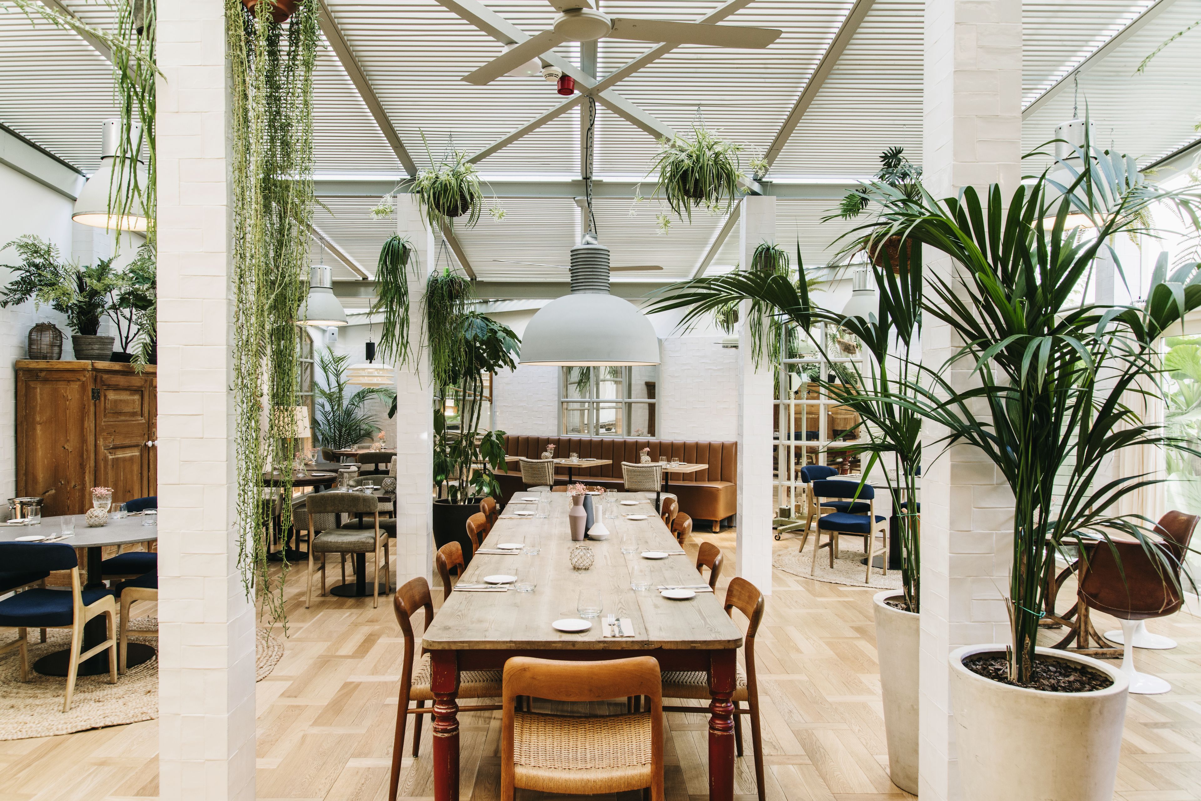 Hotel Pulitzer Barcelona Hotel Pulitzer Barcelona