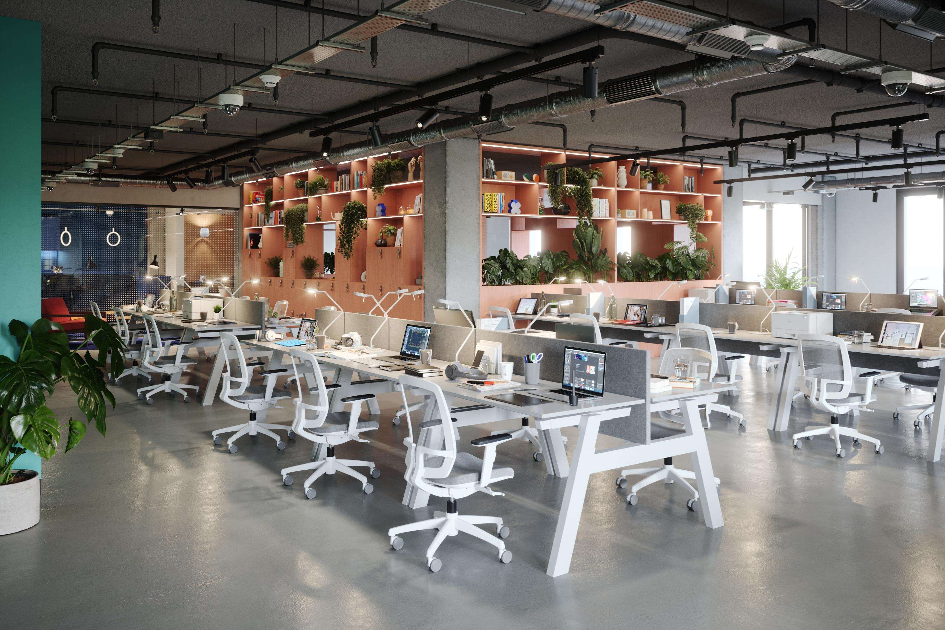The Social Hub Barcelona Poblenou The Social Hub Barcelona Poblenou