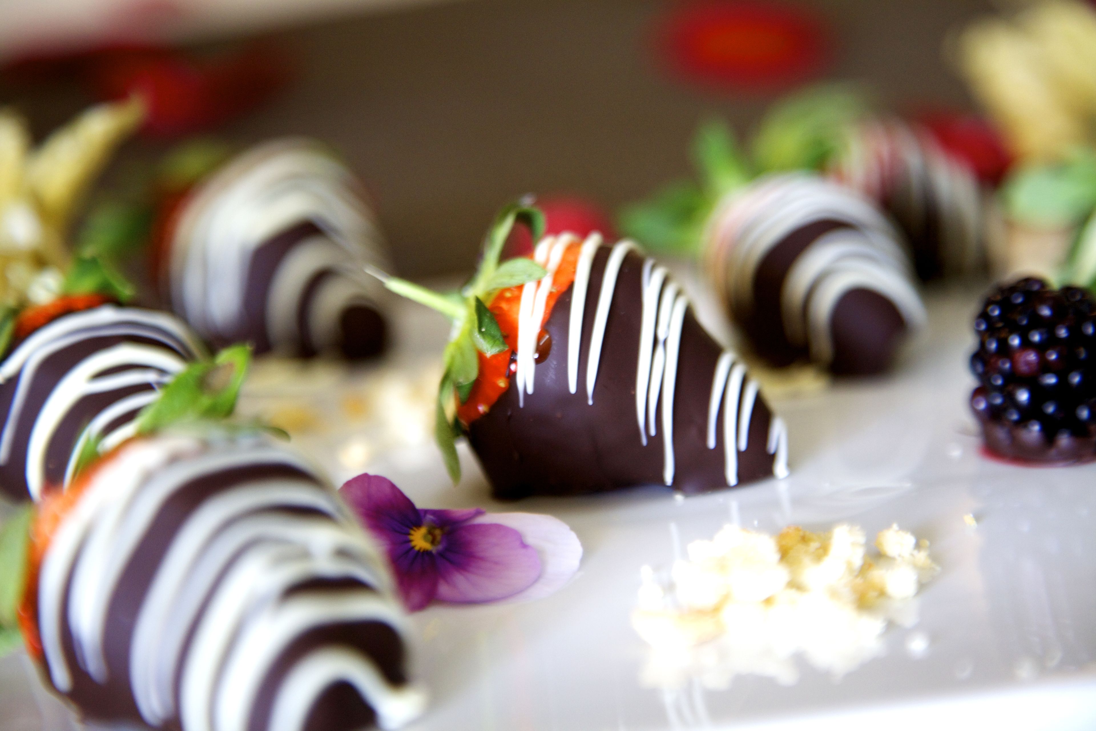 Vincci Selección Aleysa Vincci Selección Aleysa