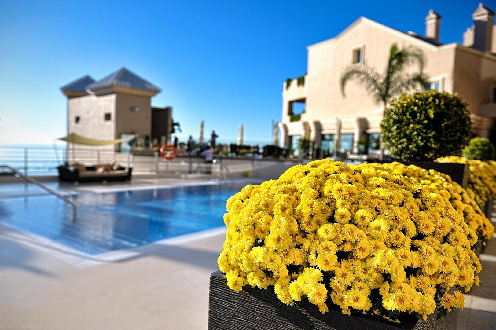 Vincci Selección Aleysa Vincci Selección Aleysa