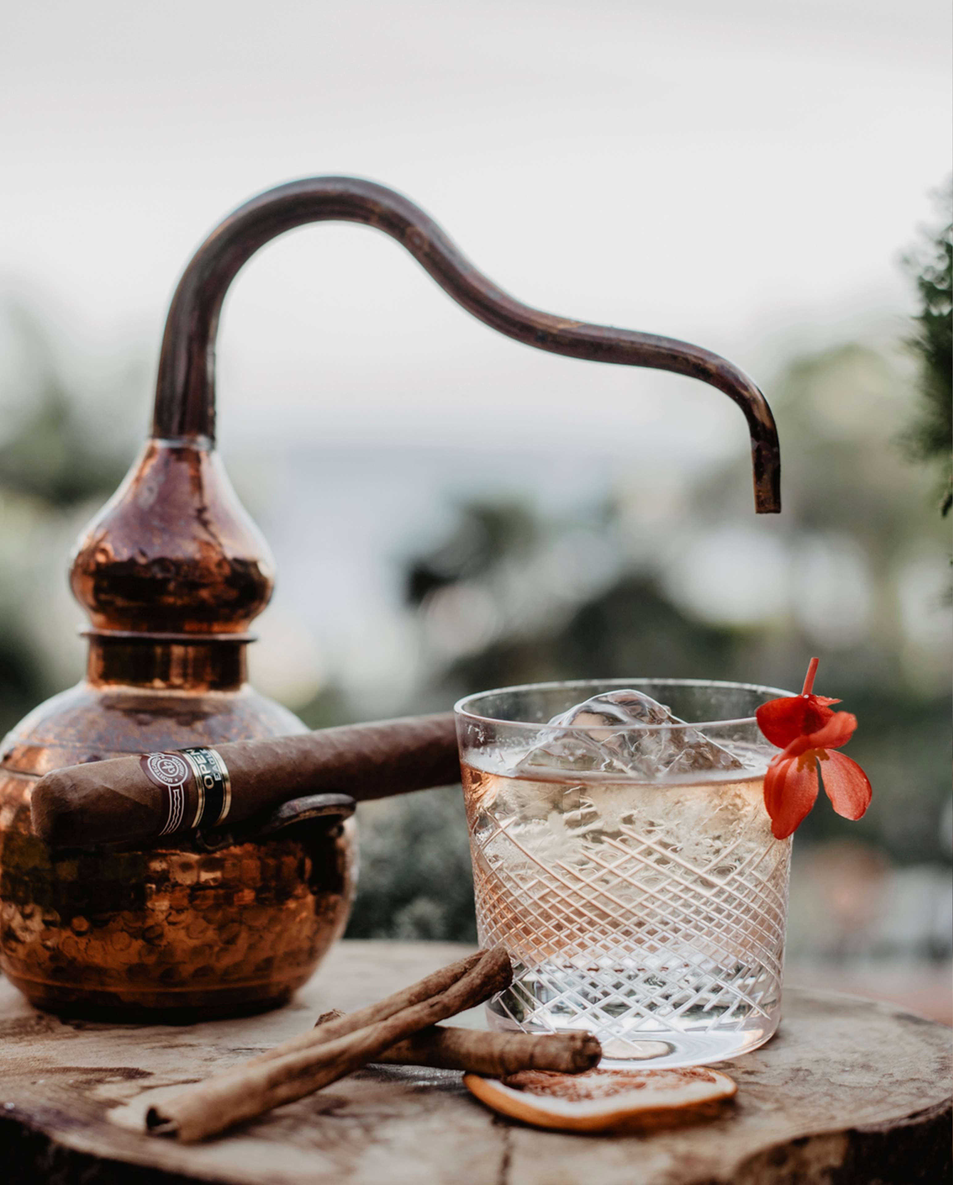 Hacienda del Mar Meliá Collection