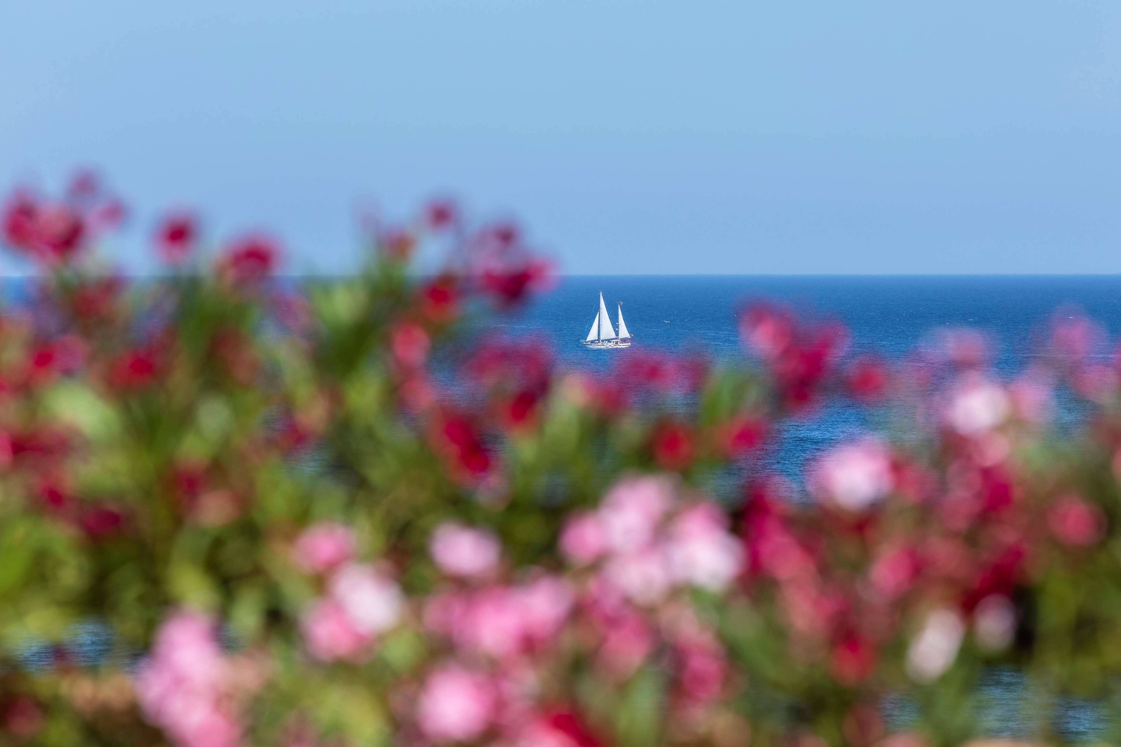 Hacienda del Mar Meliá Collection