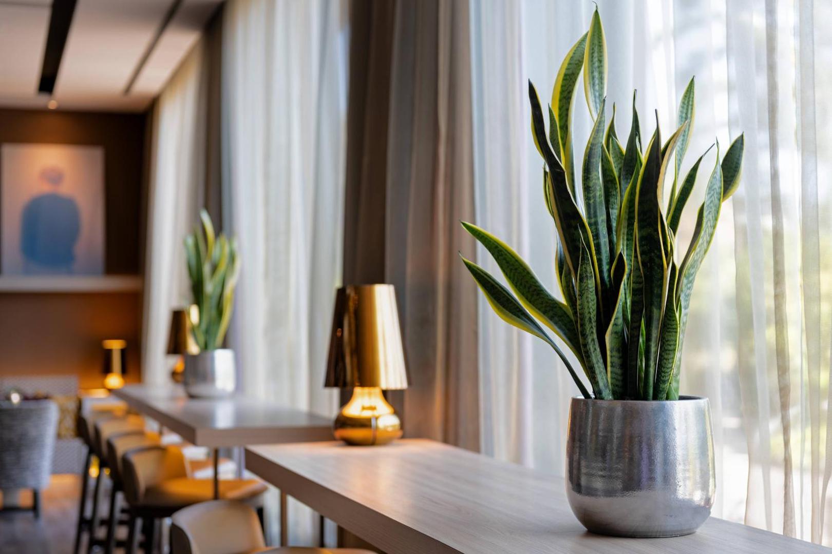 AC Hotel Málaga Palacio AC Hotel Málaga Palacio