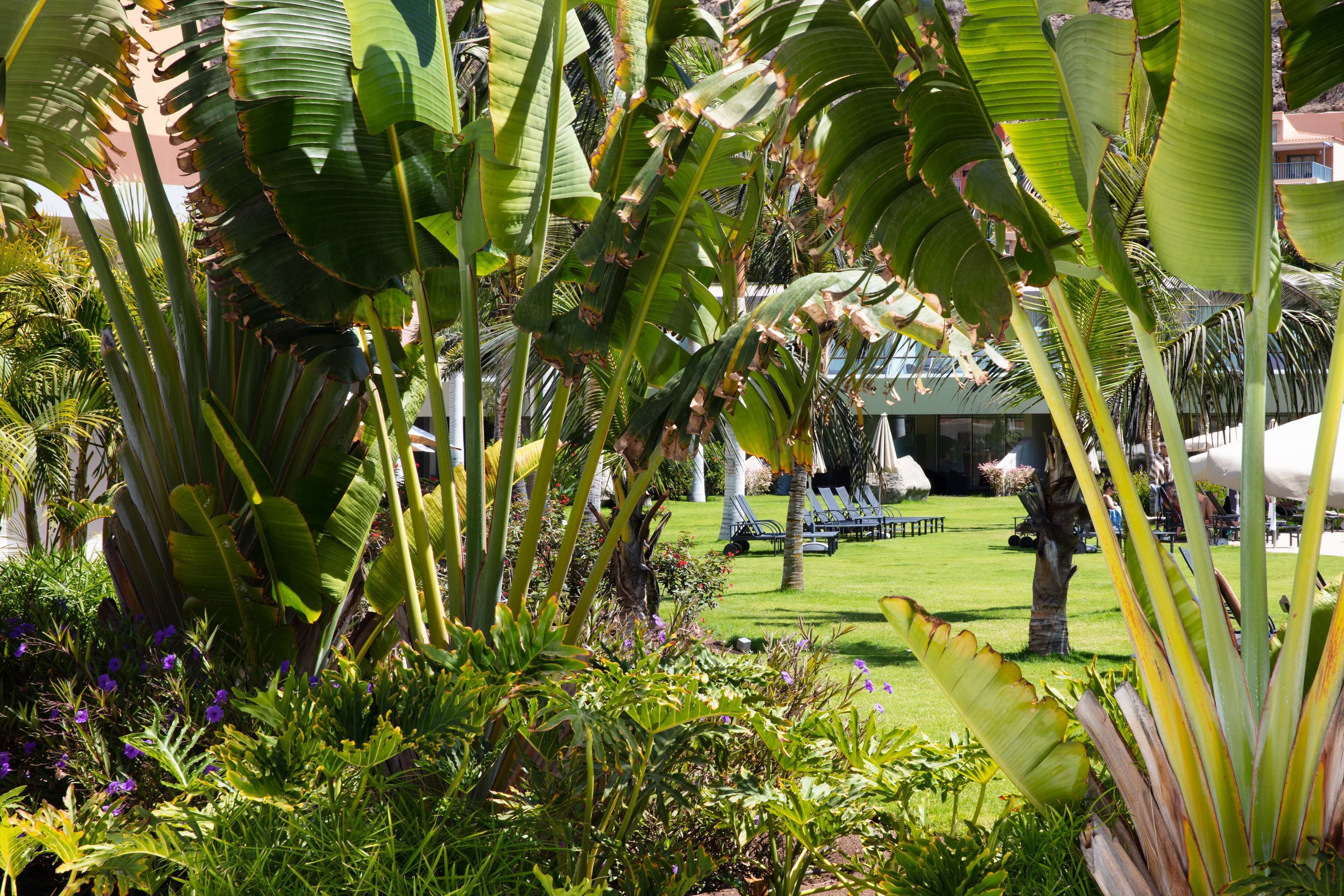 Radisson Blu Resort & Spa, Gran Canaria Mogan Radisson Blu Resort & Spa, Gran Canaria Mogan