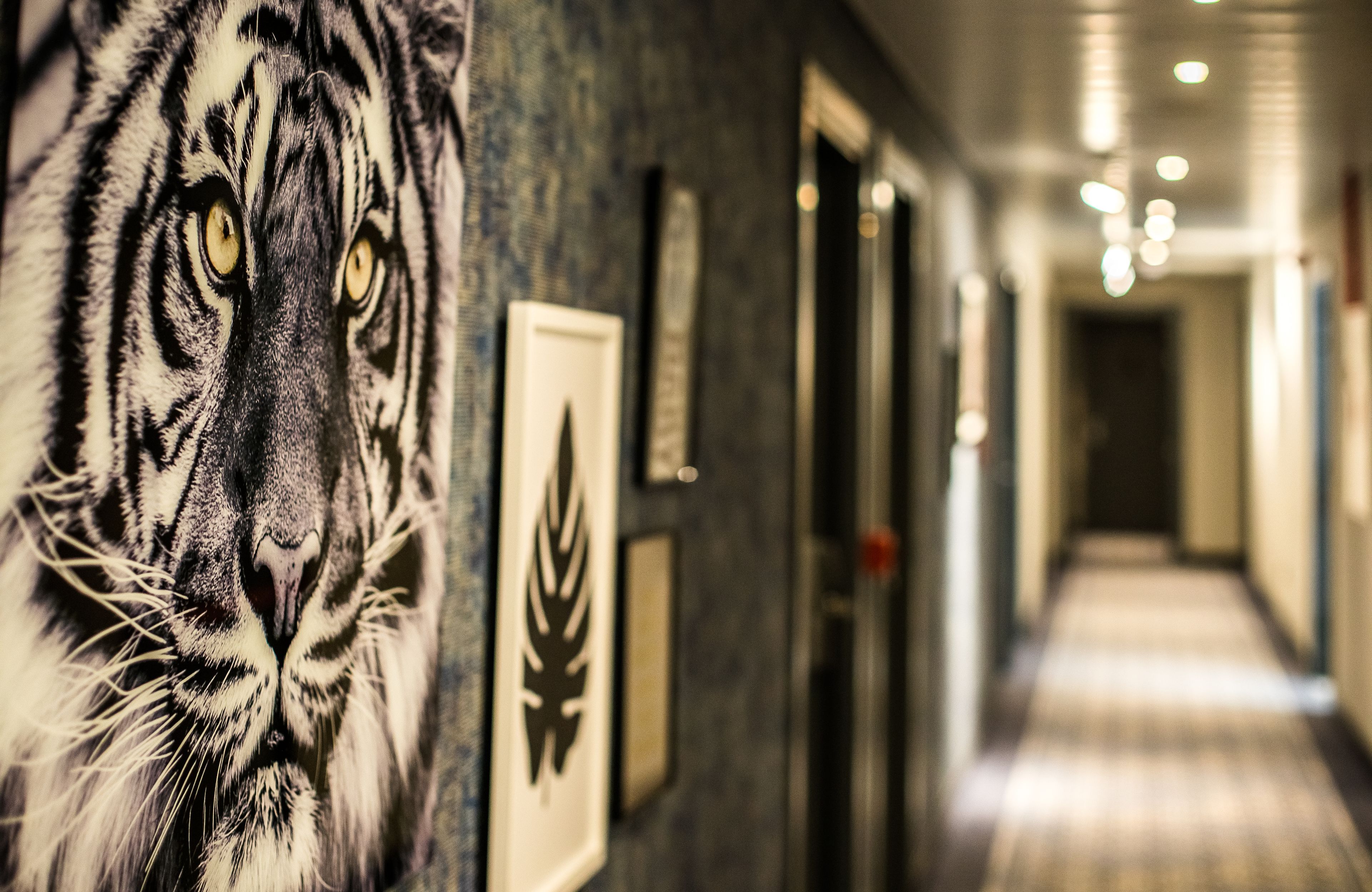 NYX Madrid Hotel NYX Madrid Hotel