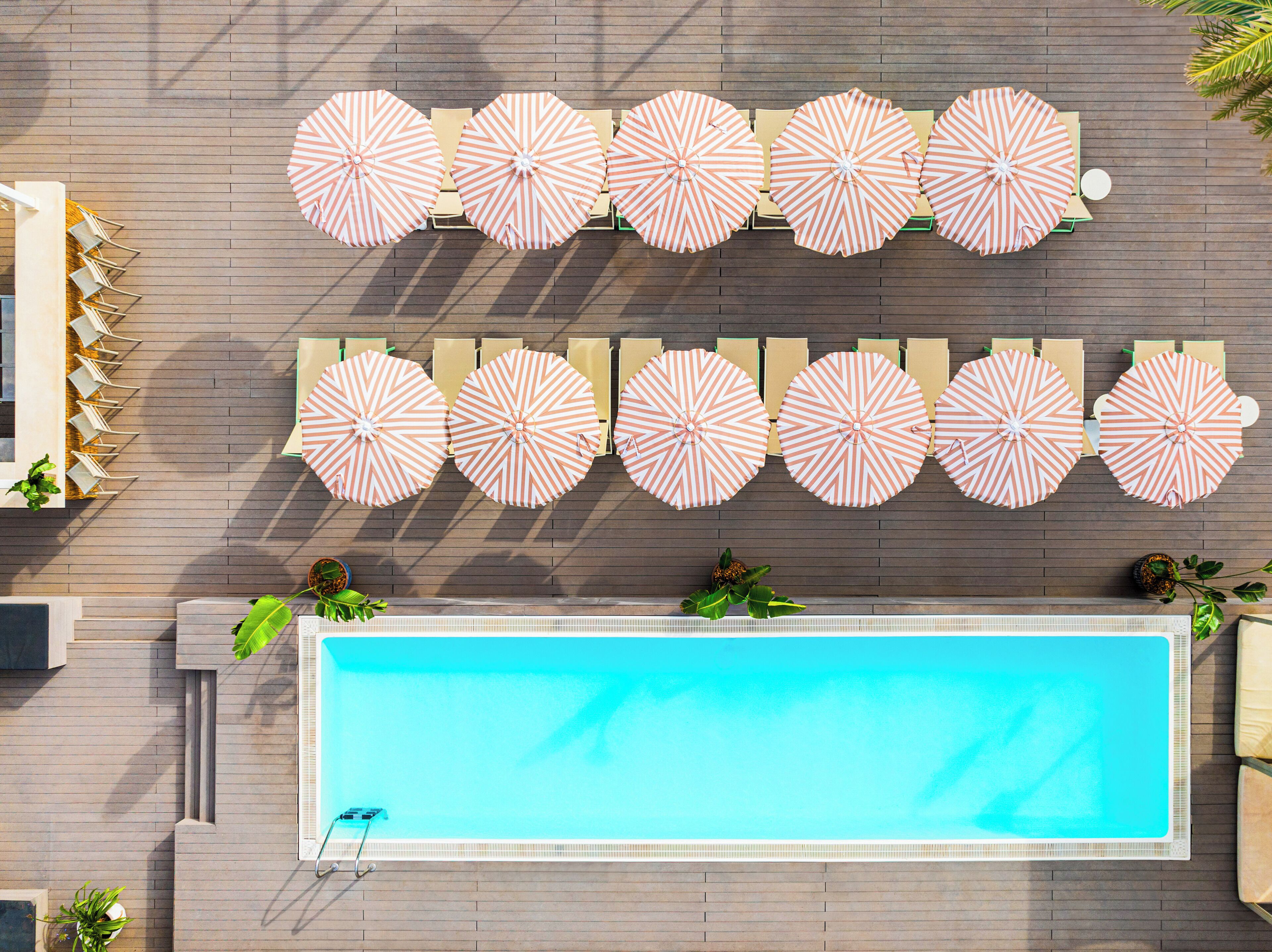 Sol House The Studio - Calvia Beach Sol House The Studio - Calvia Beach