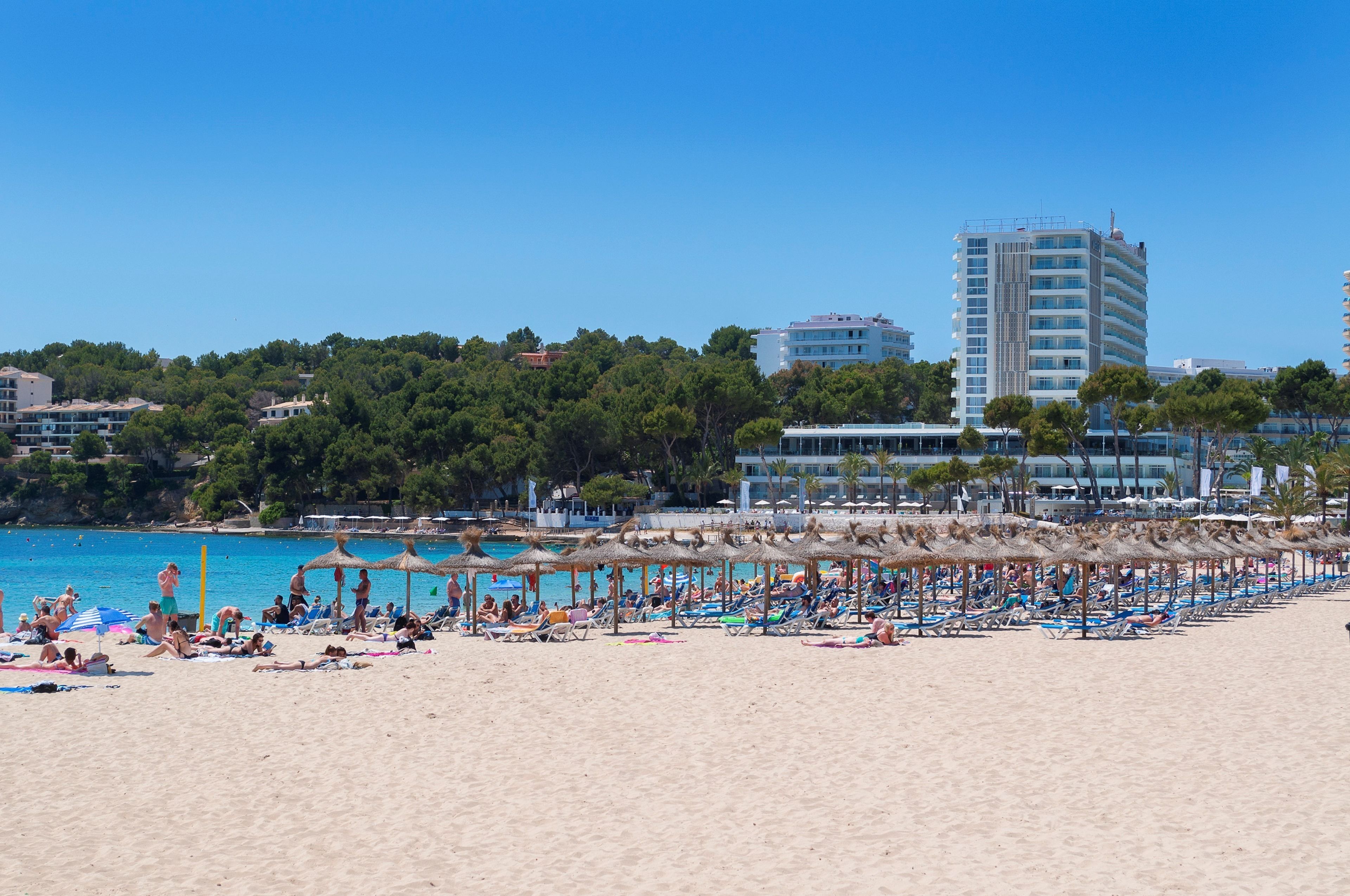 Meliá Calviá Beach Meliá Calviá Beach