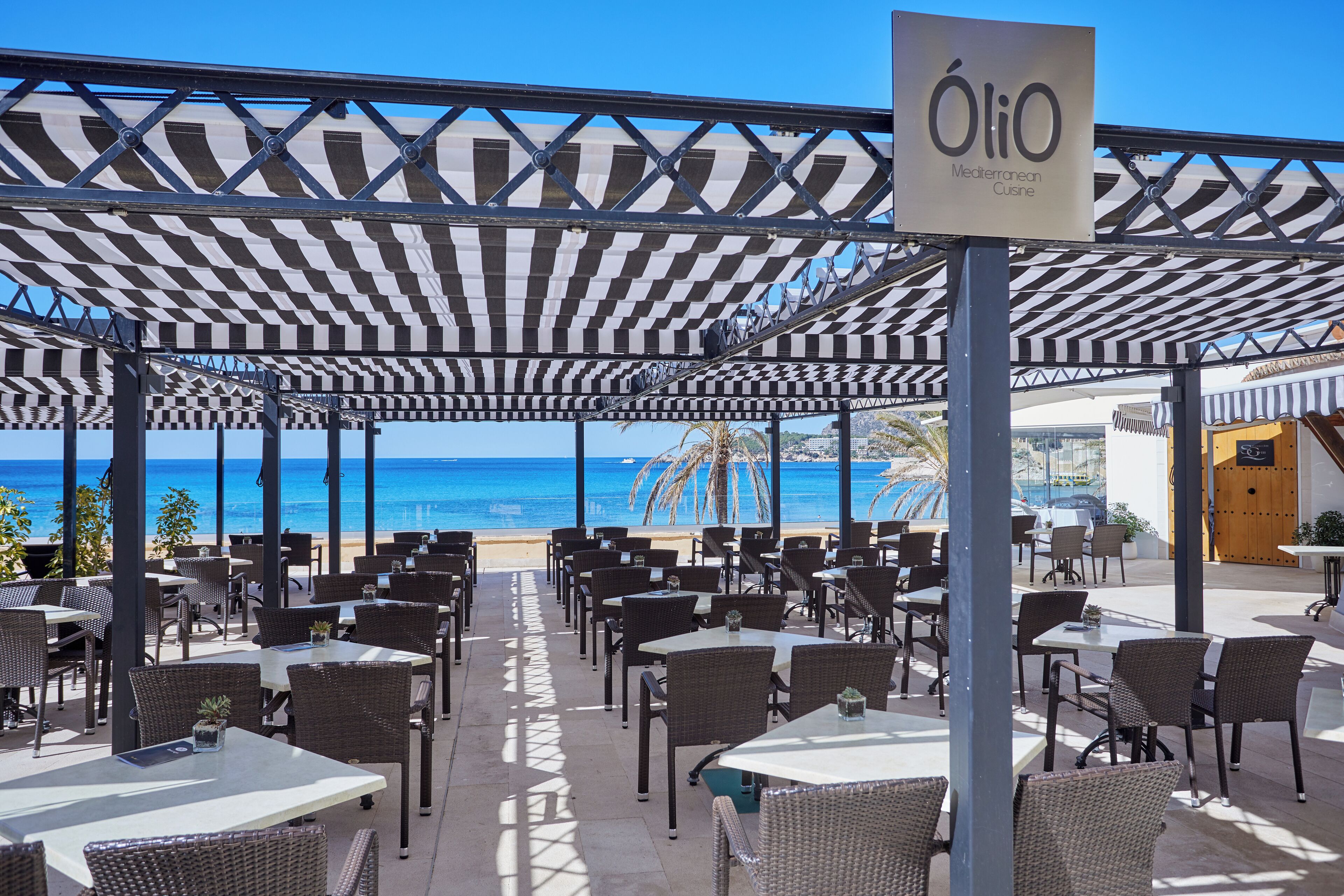 Secrets Mallorca Villamil (Adults Only) Secrets Mallorca Villamil (Adults Only)