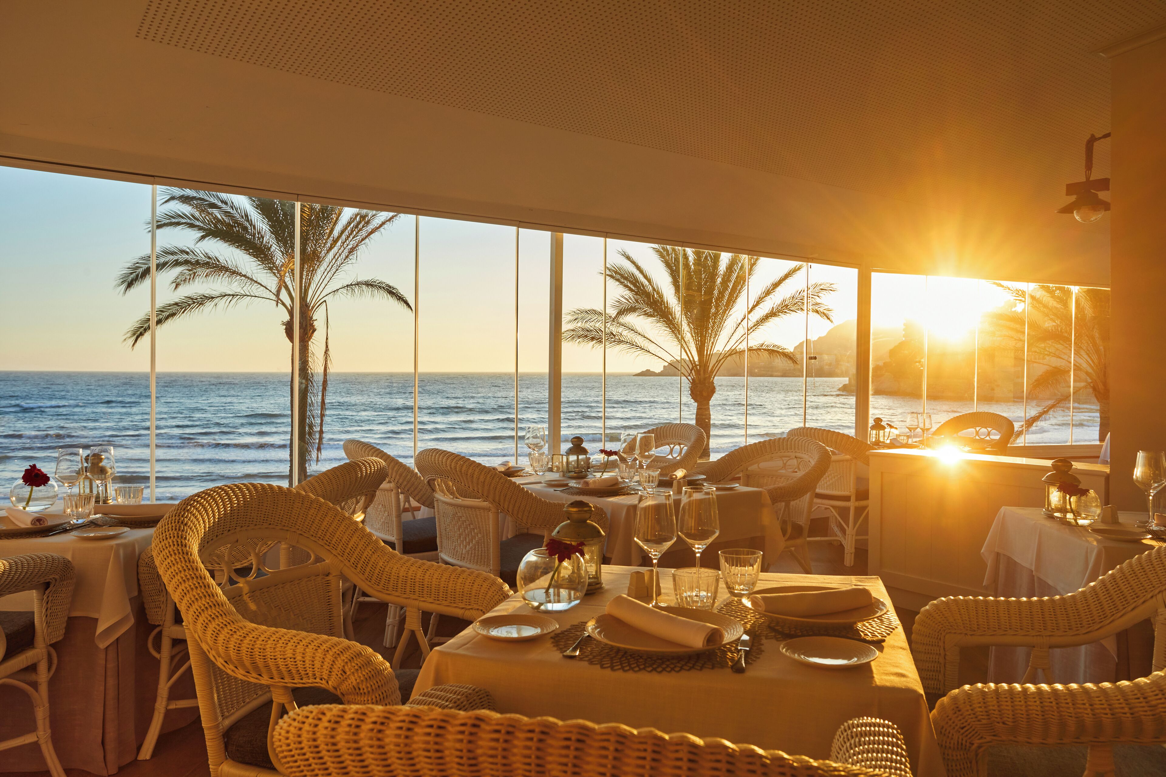 Secrets Mallorca Villamil (Adults Only) Secrets Mallorca Villamil (Adults Only)