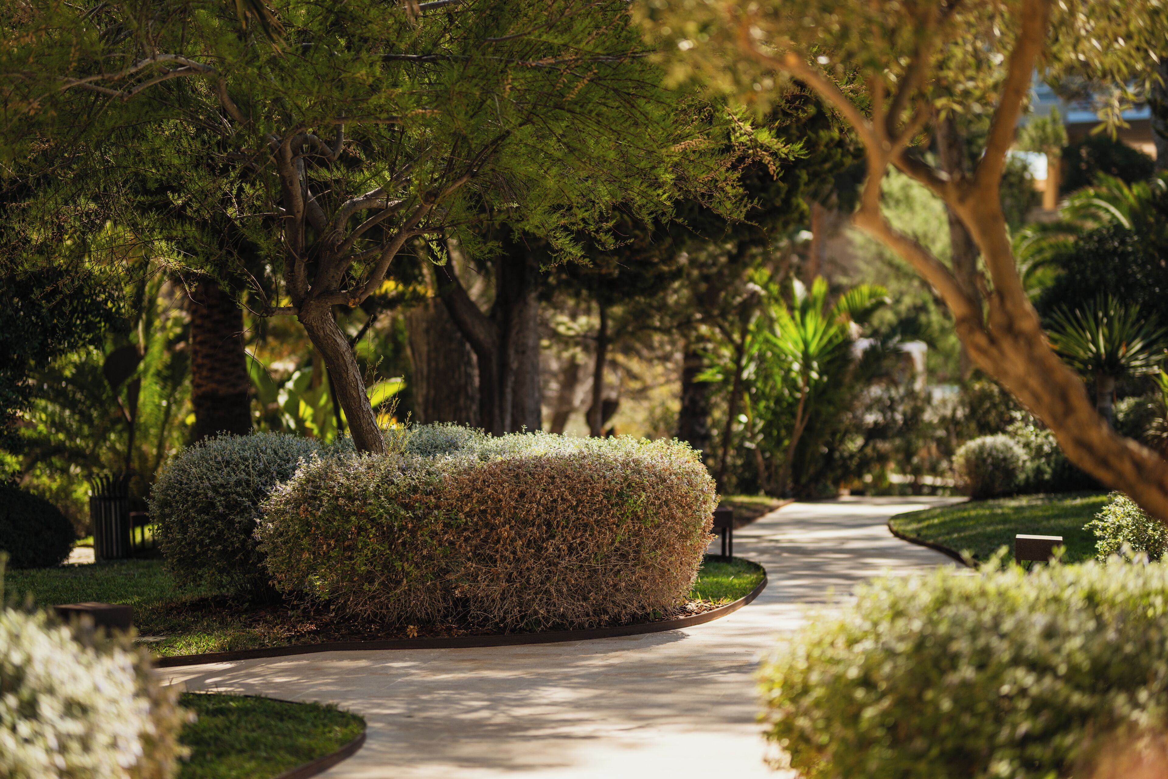 Secrets Mallorca Villamil (Adults Only) Secrets Mallorca Villamil (Adults Only)