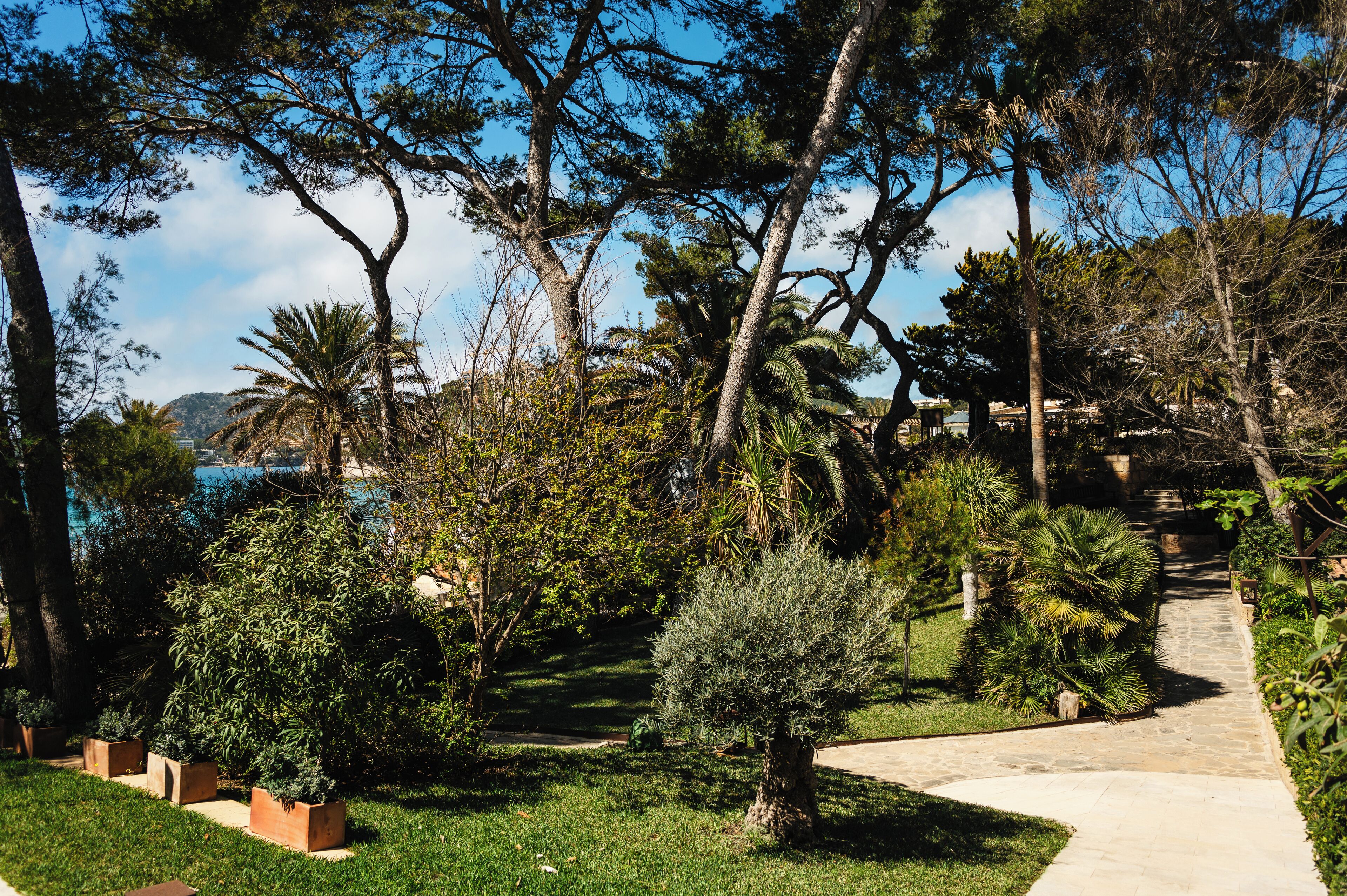 Secrets Mallorca Villamil (Adults Only) Secrets Mallorca Villamil (Adults Only)