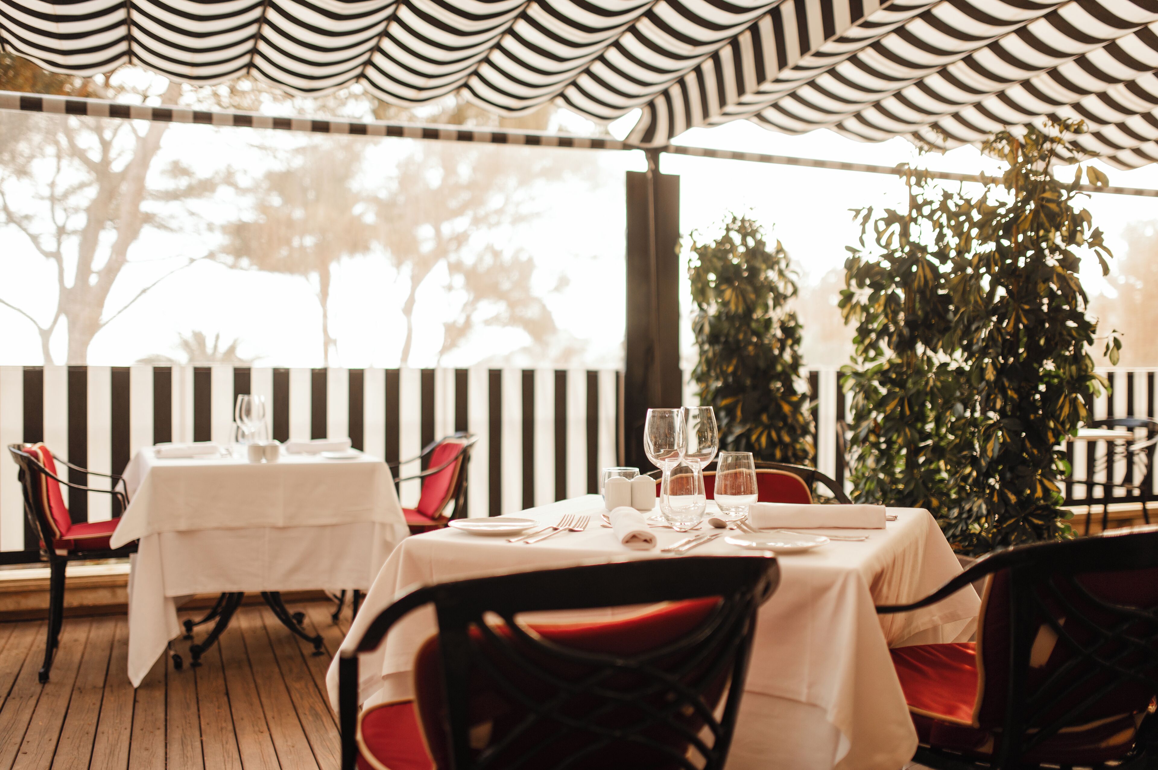 Secrets Mallorca Villamil (Adults Only) Secrets Mallorca Villamil (Adults Only)