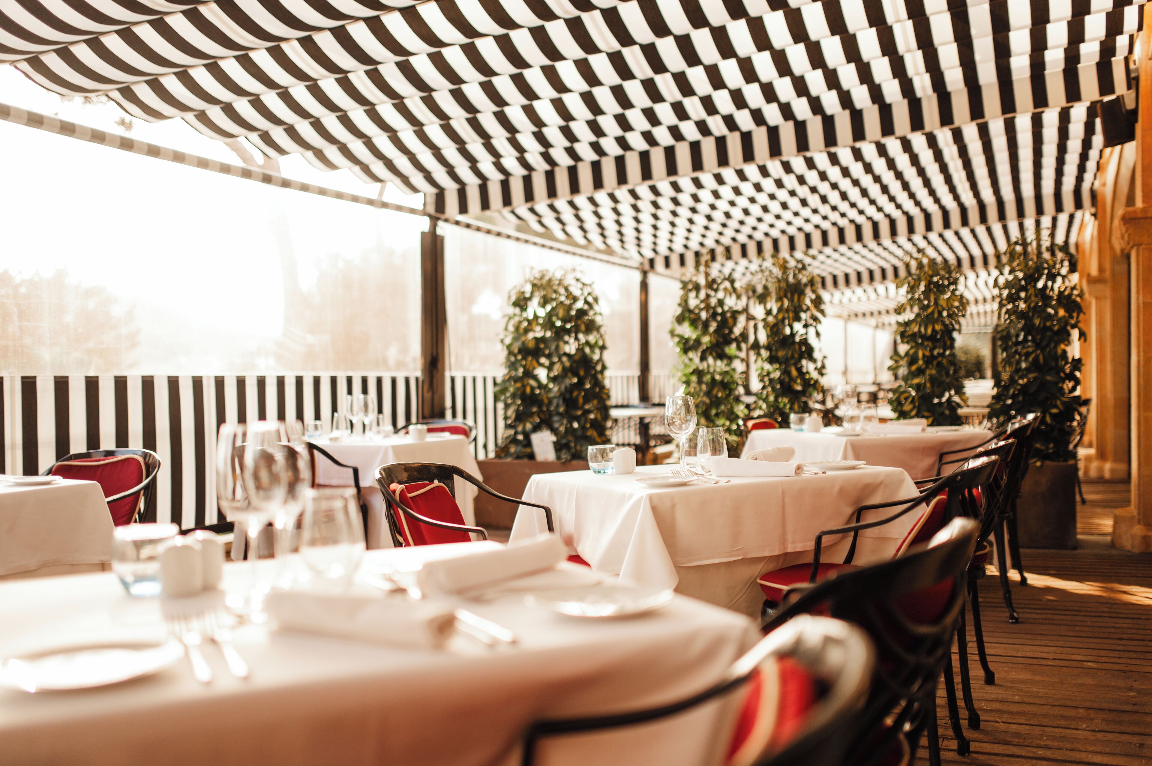 Secrets Mallorca Villamil (Adults Only) Secrets Mallorca Villamil (Adults Only)