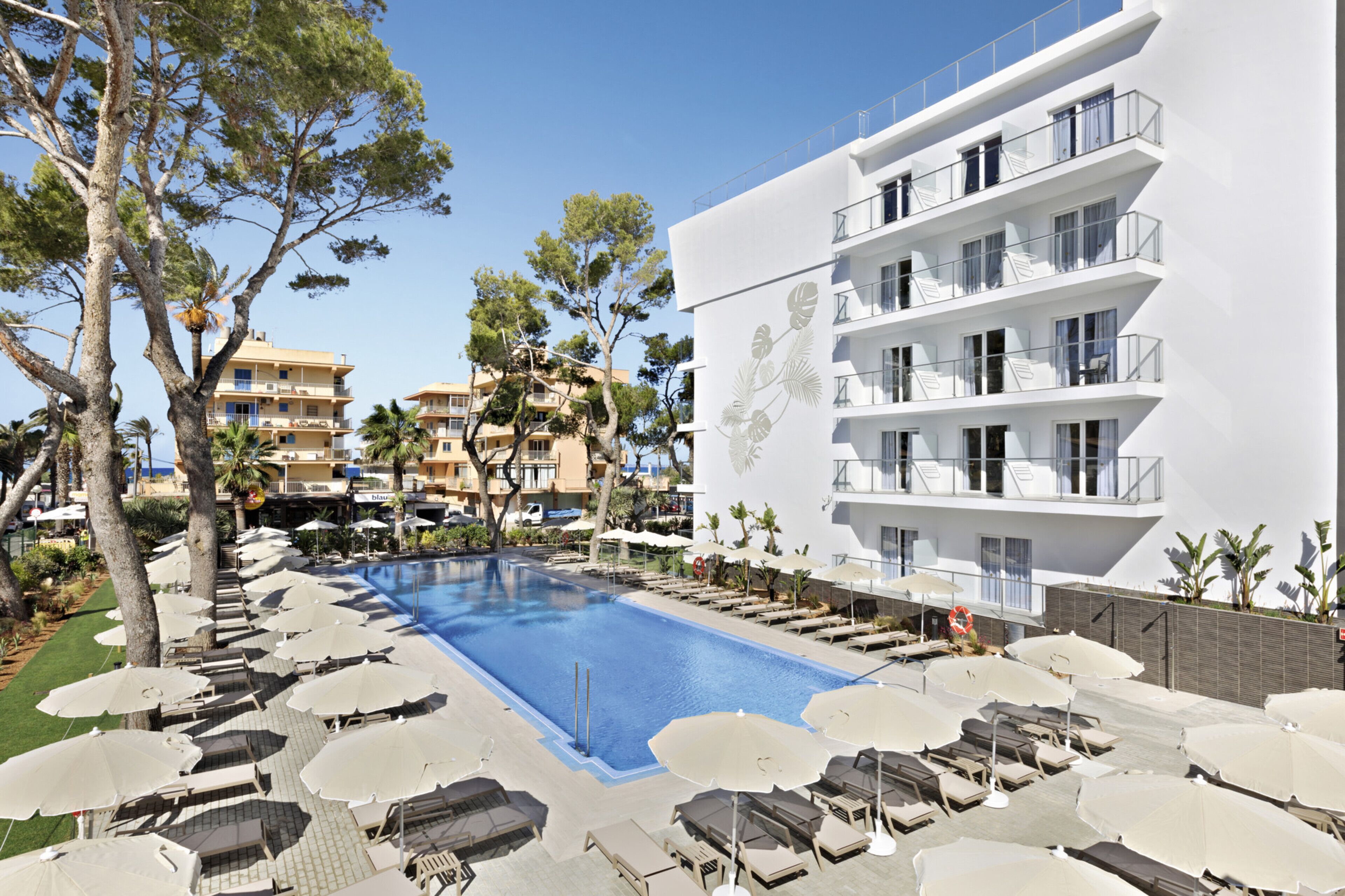 Hotel Riu Concordia Hotel Riu Concordia