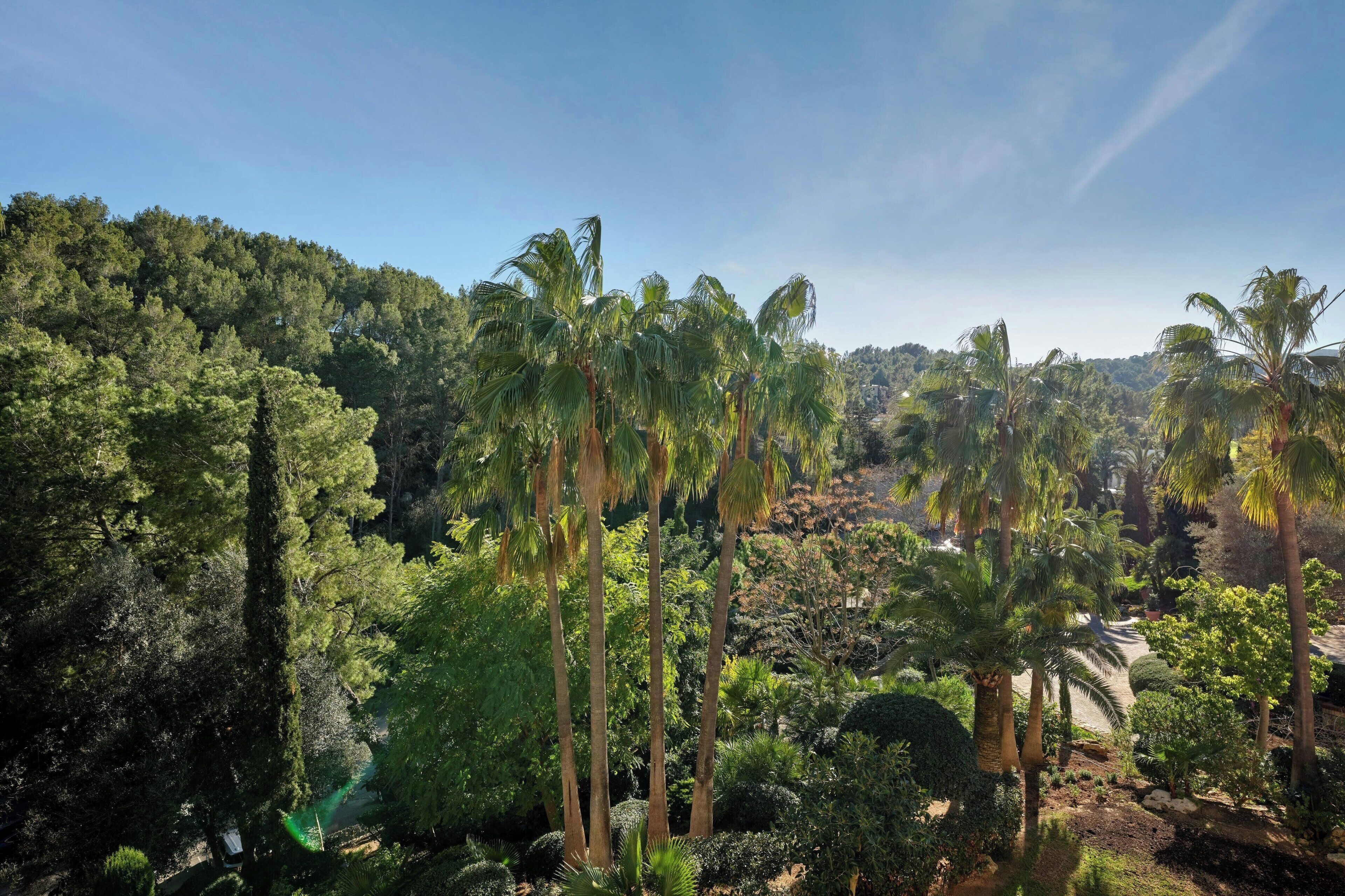 Sheraton Mallorca Arabella Golf Hotel Sheraton Mallorca Arabella Golf Hotel