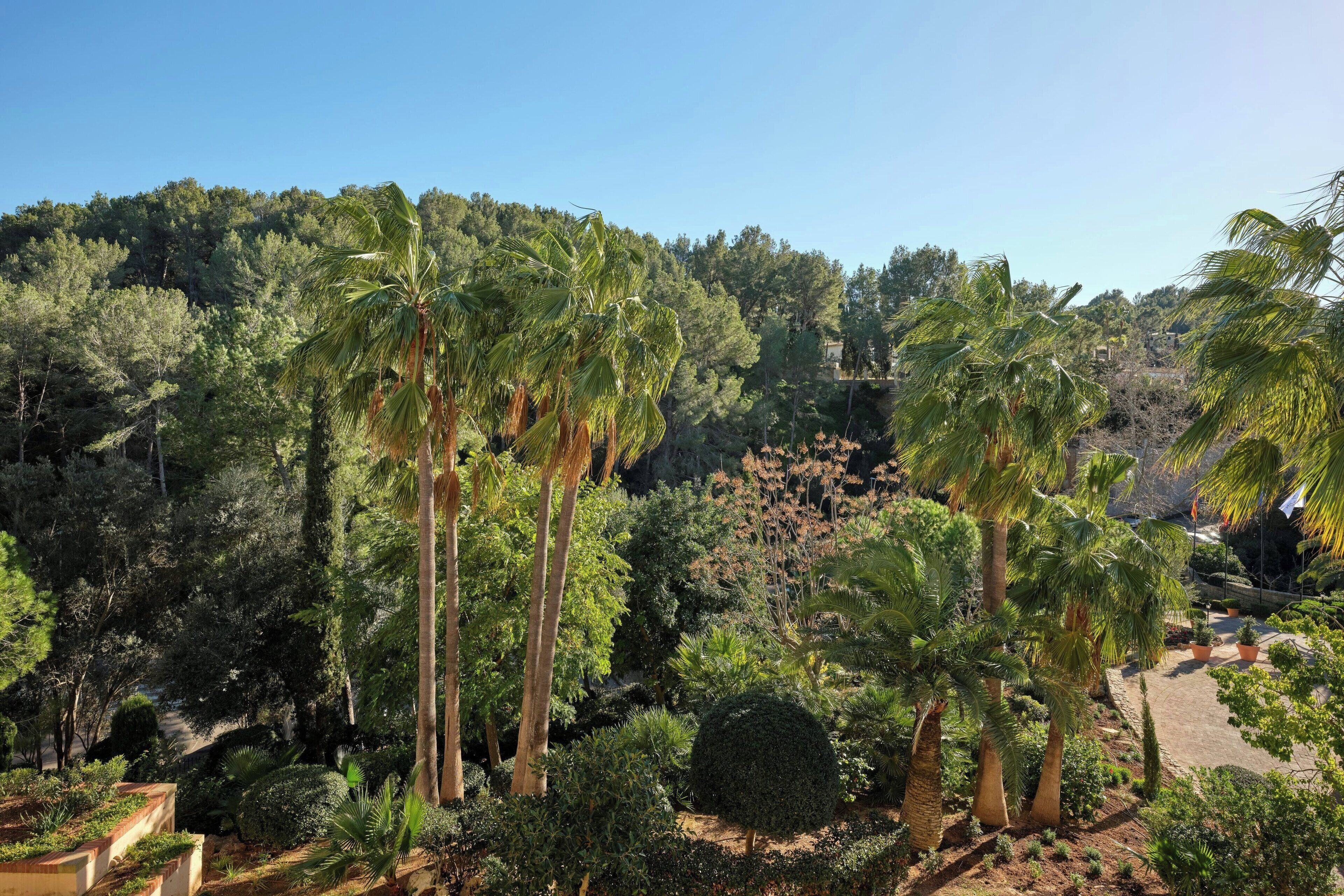 Sheraton Mallorca Arabella Golf Hotel Sheraton Mallorca Arabella Golf Hotel
