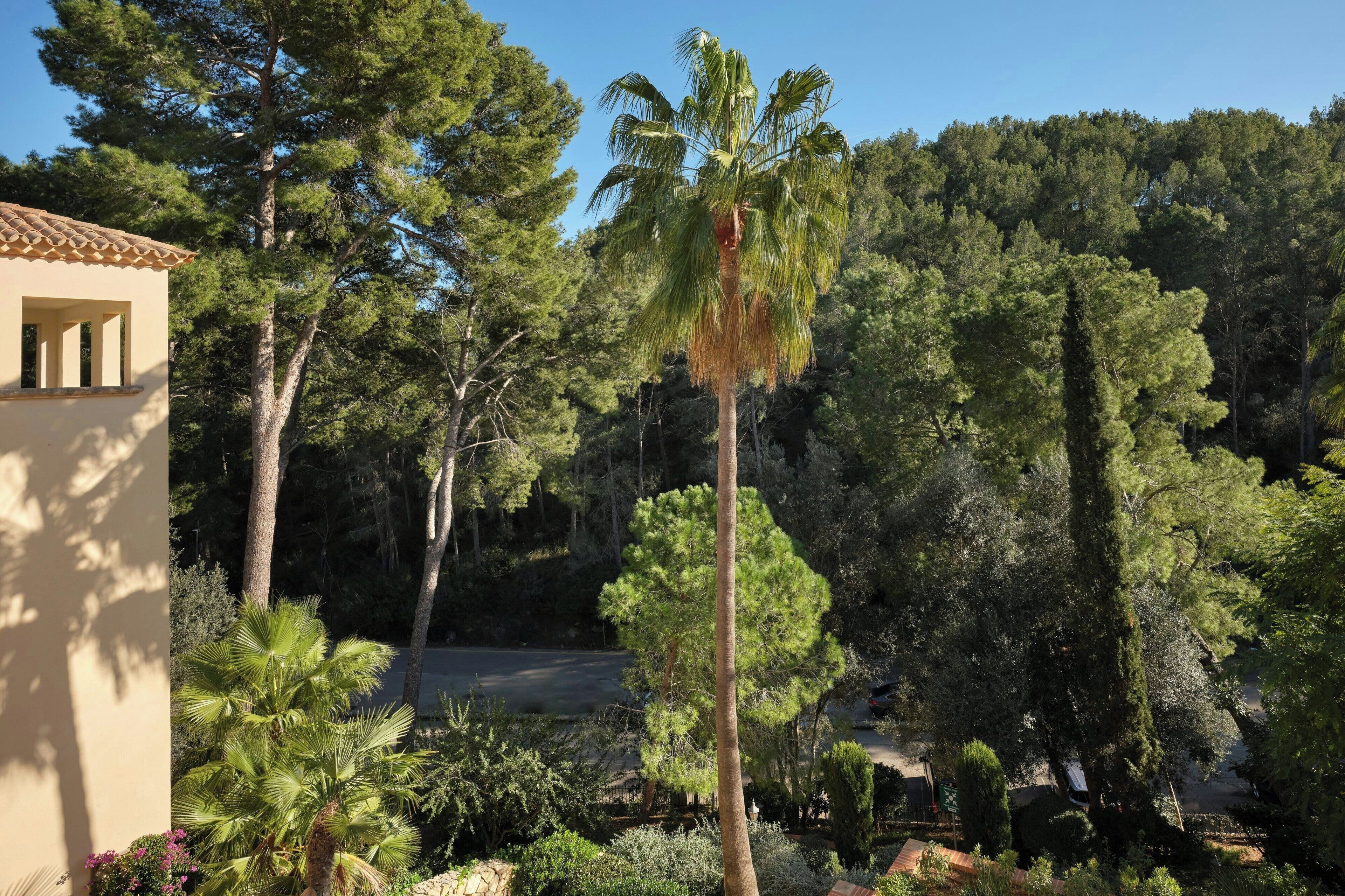 Sheraton Mallorca Arabella Golf Hotel Sheraton Mallorca Arabella Golf Hotel
