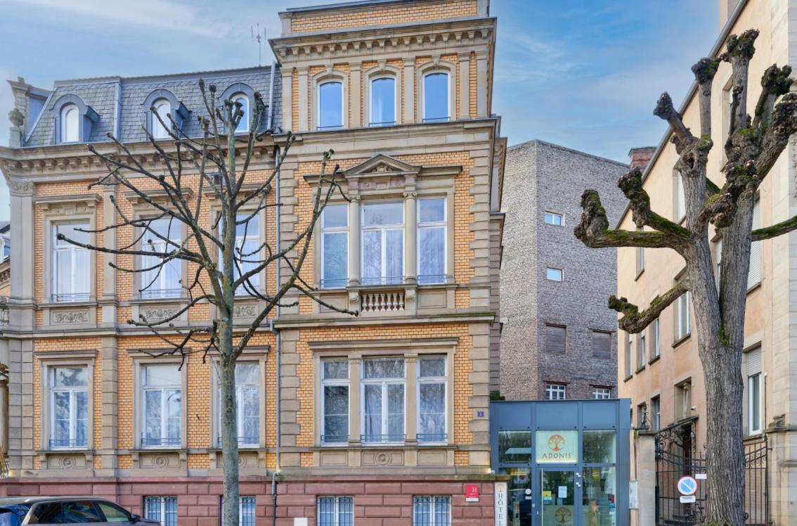 Adonis Strasbourg Adonis Strasbourg