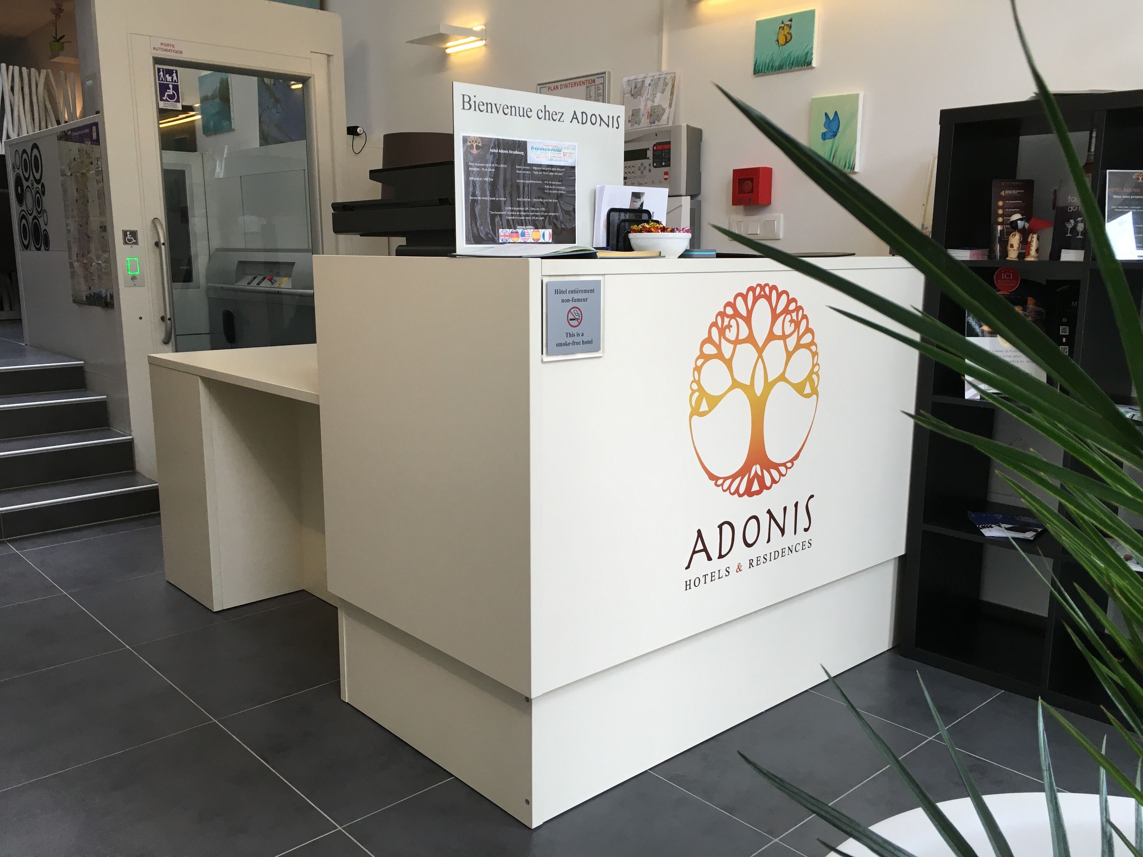 Adonis Strasbourg Adonis Strasbourg