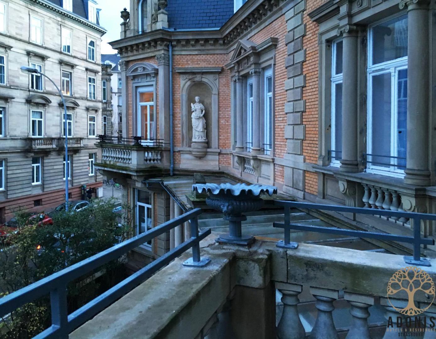 Adonis Strasbourg Adonis Strasbourg