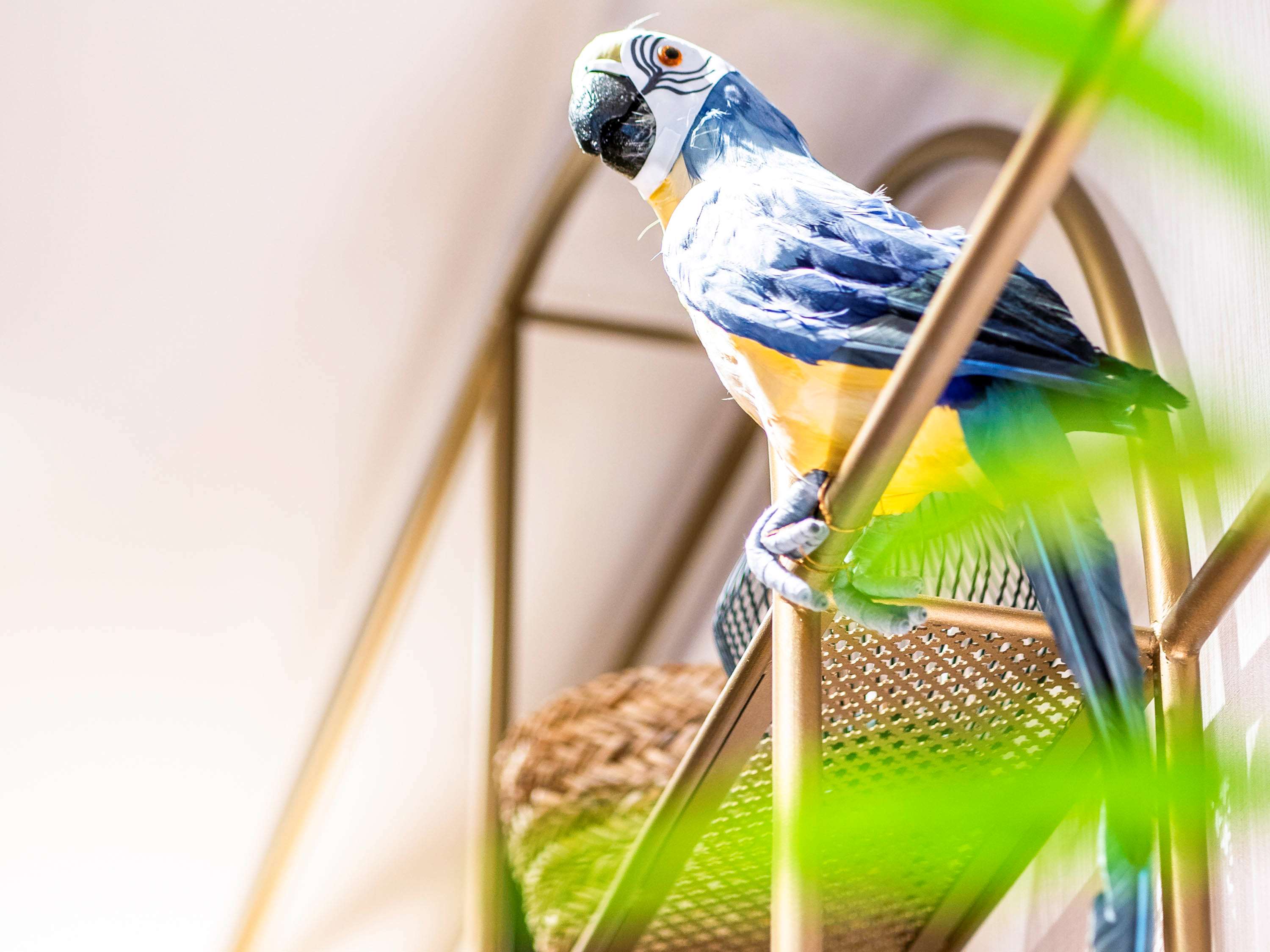 ibis Styles Rennes Cesson ibis Styles Rennes Cesson