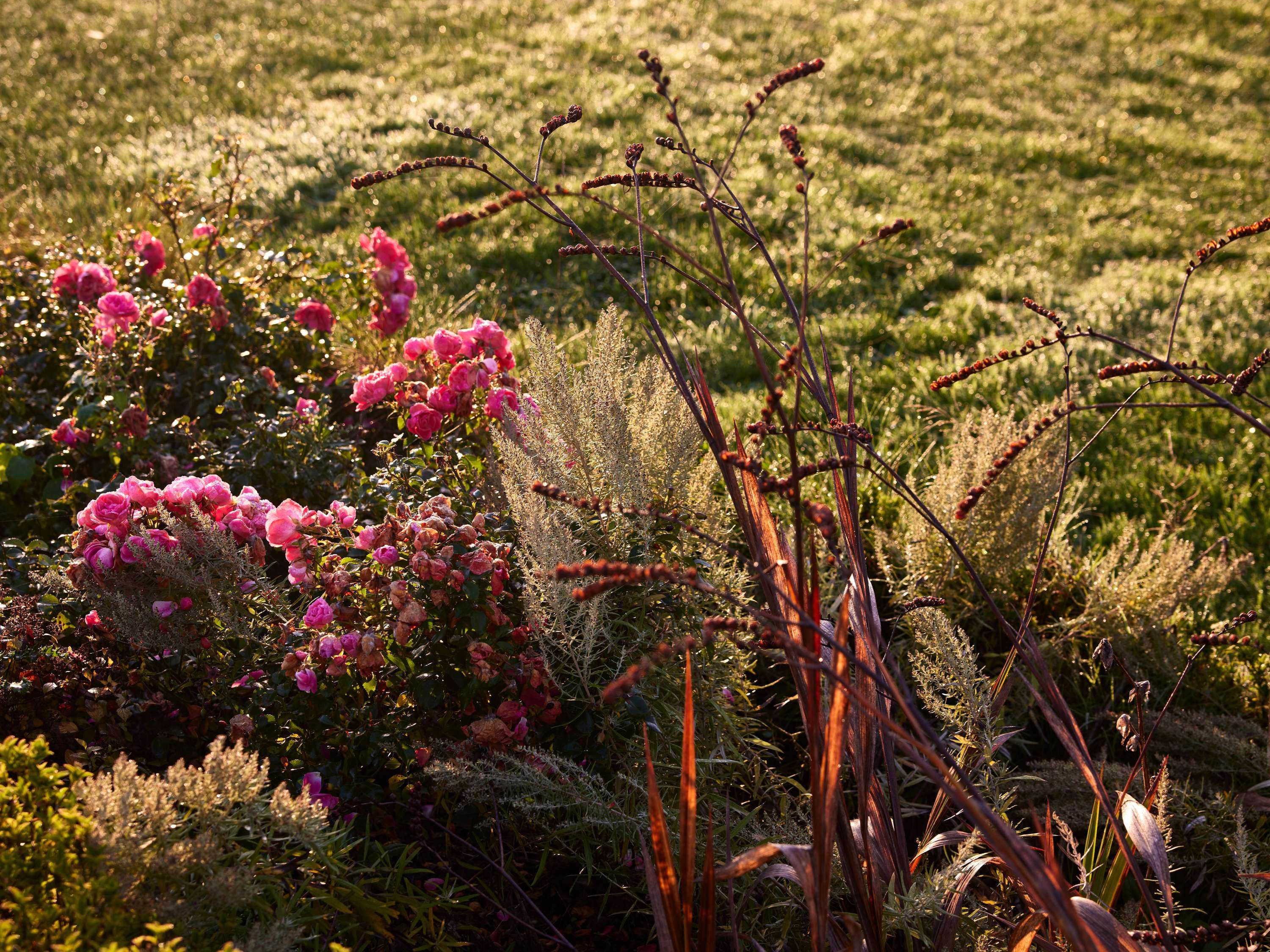 Domaine du Liziec Vannes MGallery Collection Domaine du Liziec Vannes MGallery Collection